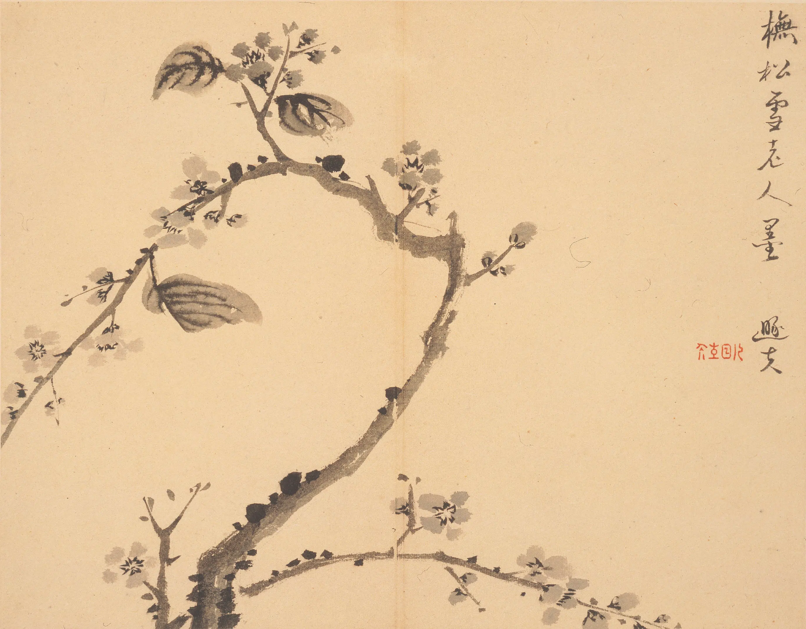 清代【罗聘】《山水花卉册》 第10张 清代【罗聘】《山水花卉册》 第10张