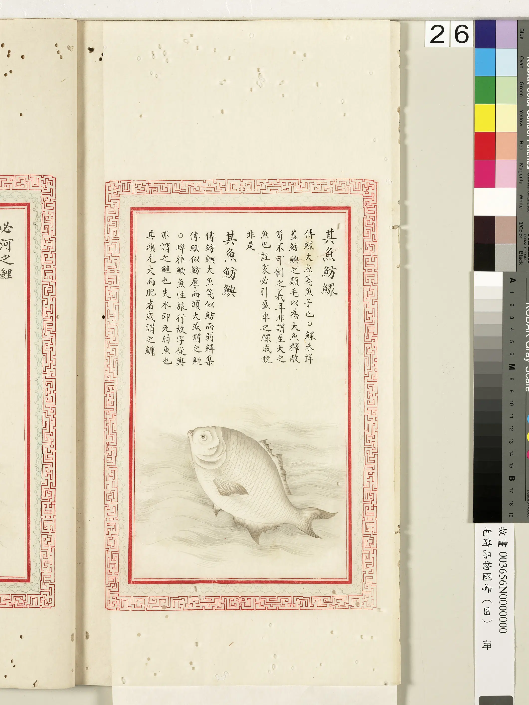 清朝【佚名】《毛诗品物图考（四）册-其鱼鲂鳏其鱼鲂鱮-1》