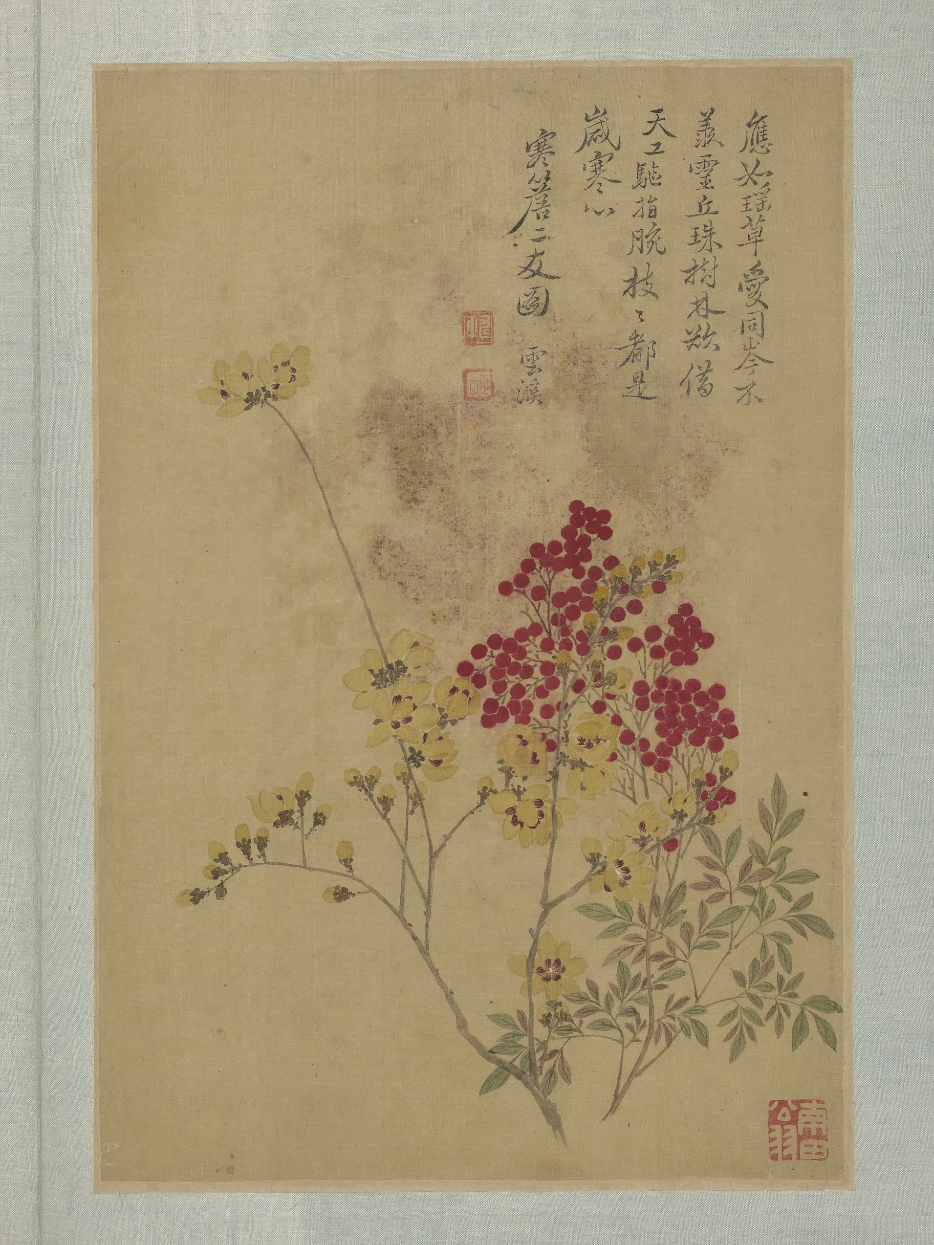 清代【恽寿平】《画花卉册-寒檐二友图》