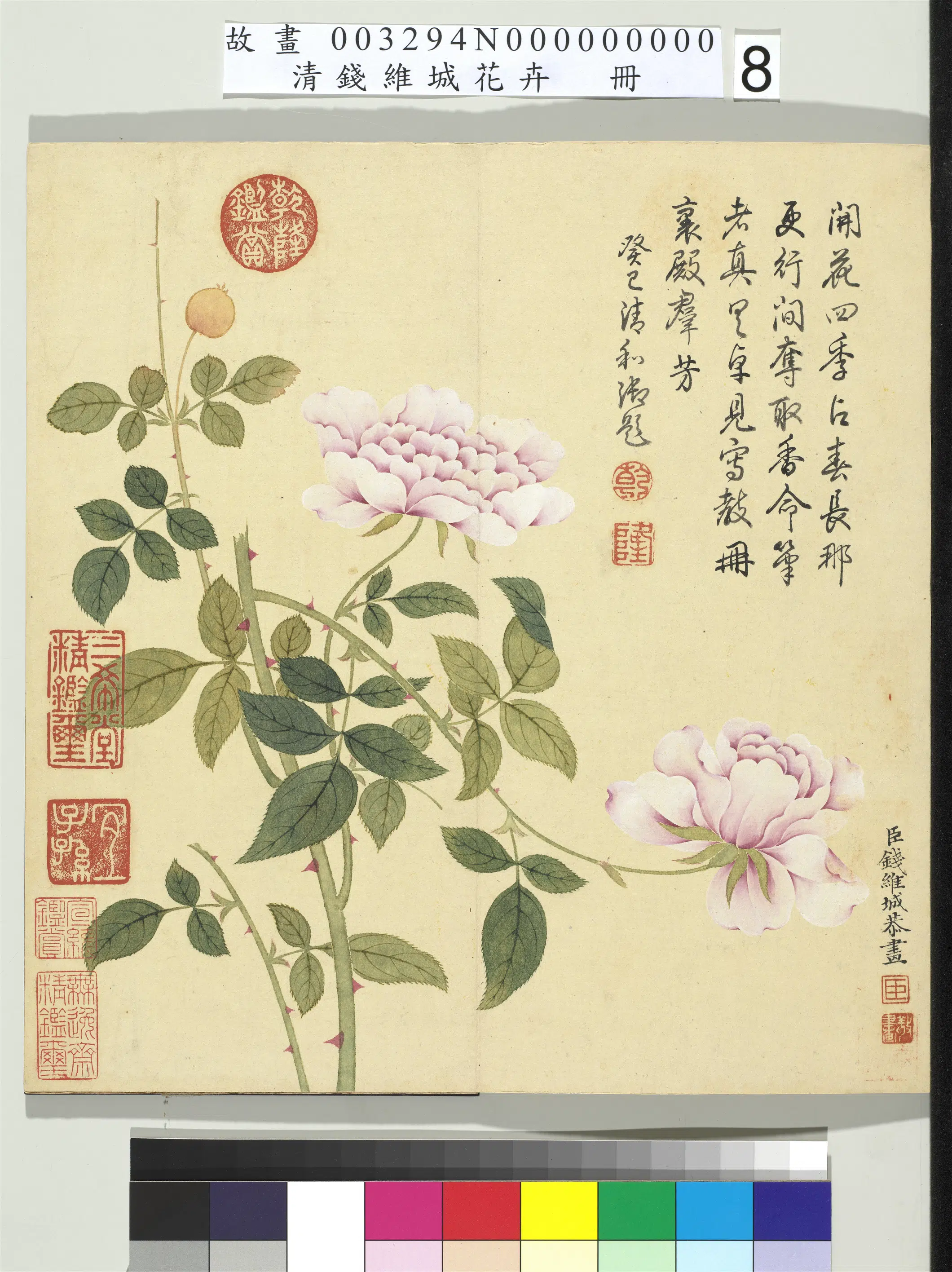 清代【钱维城】《画花卉册-月季》