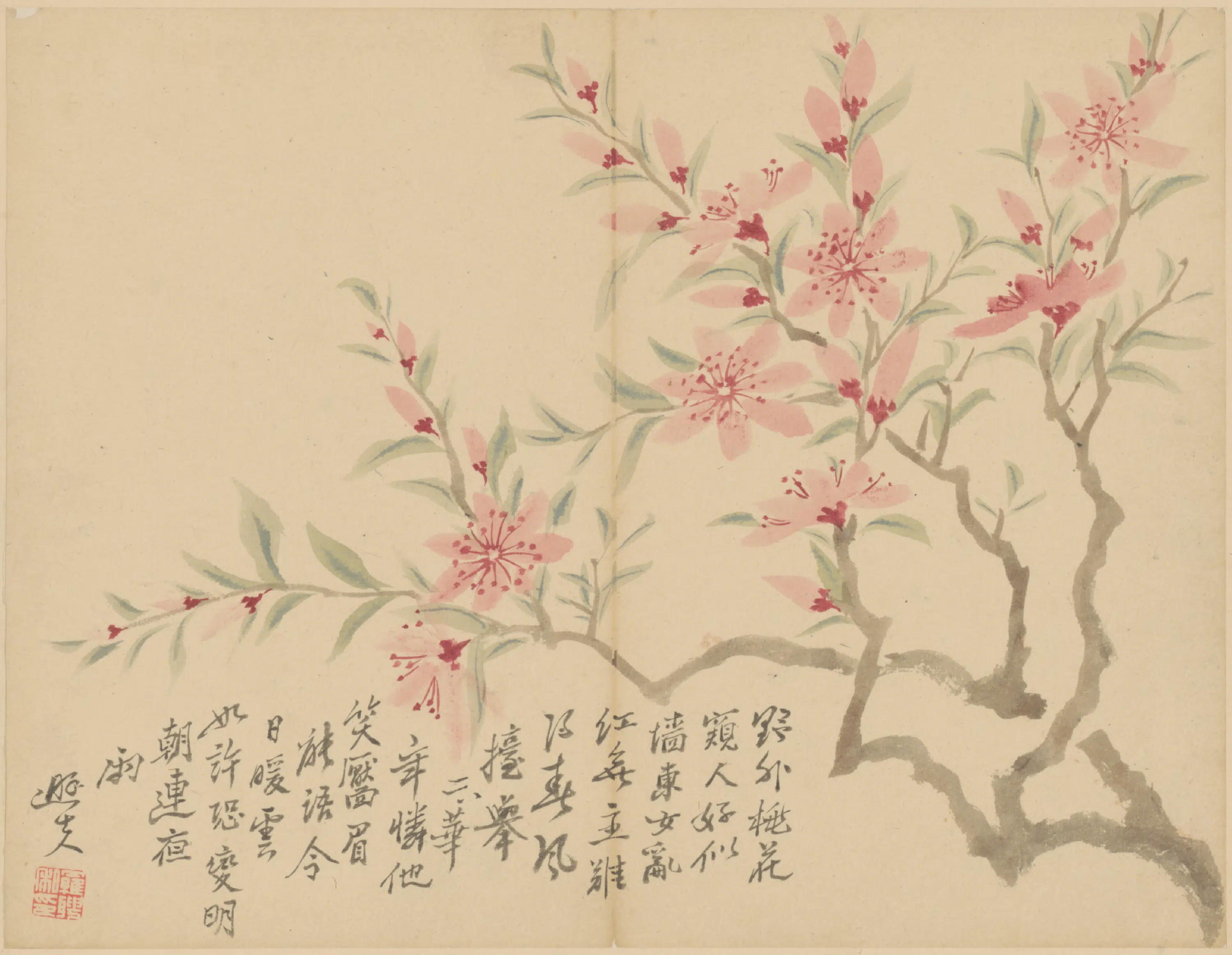 清代【罗聘】《花果册》