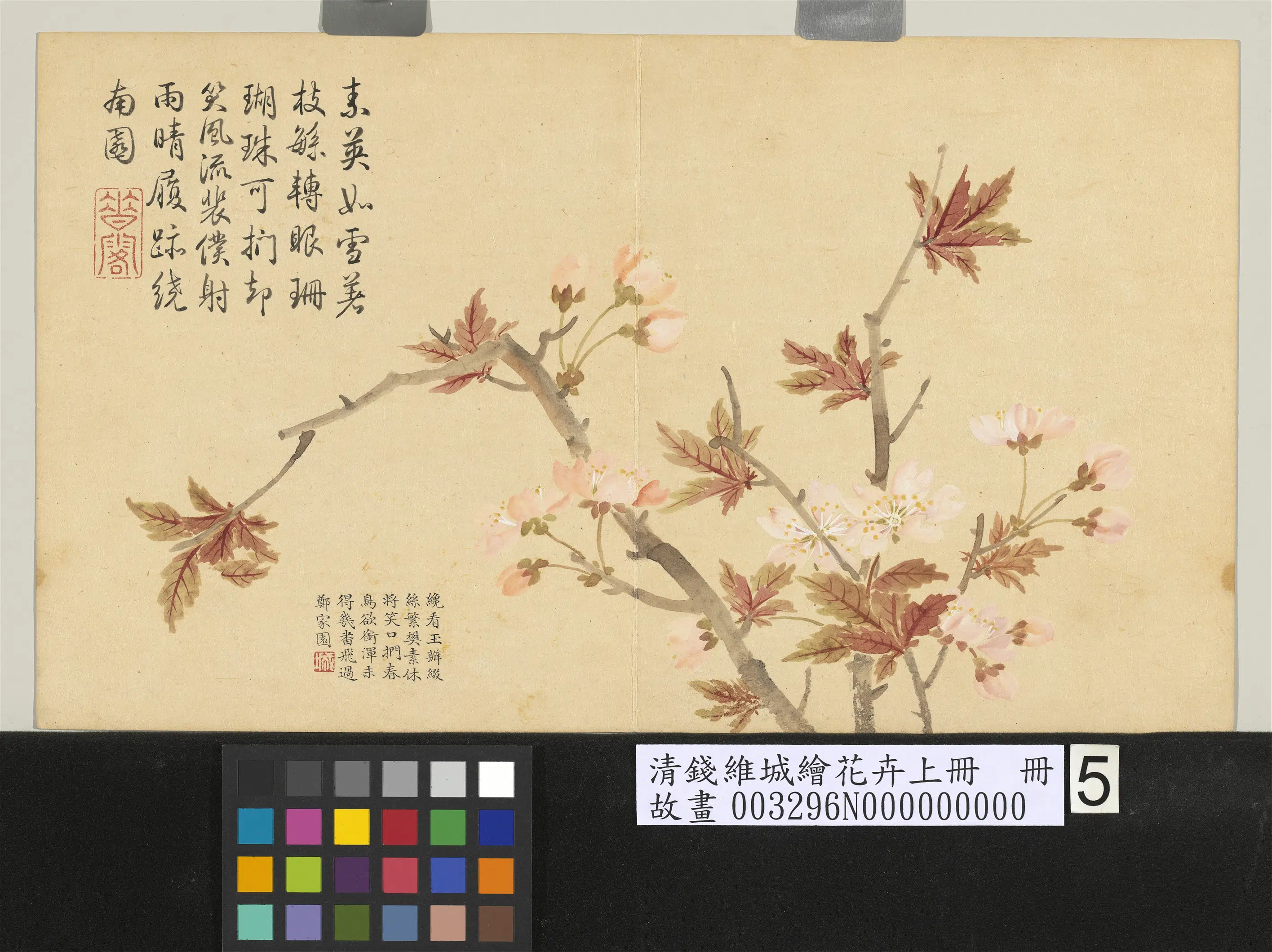 清代【钱维城】《绘花卉（上）册樱桃花》