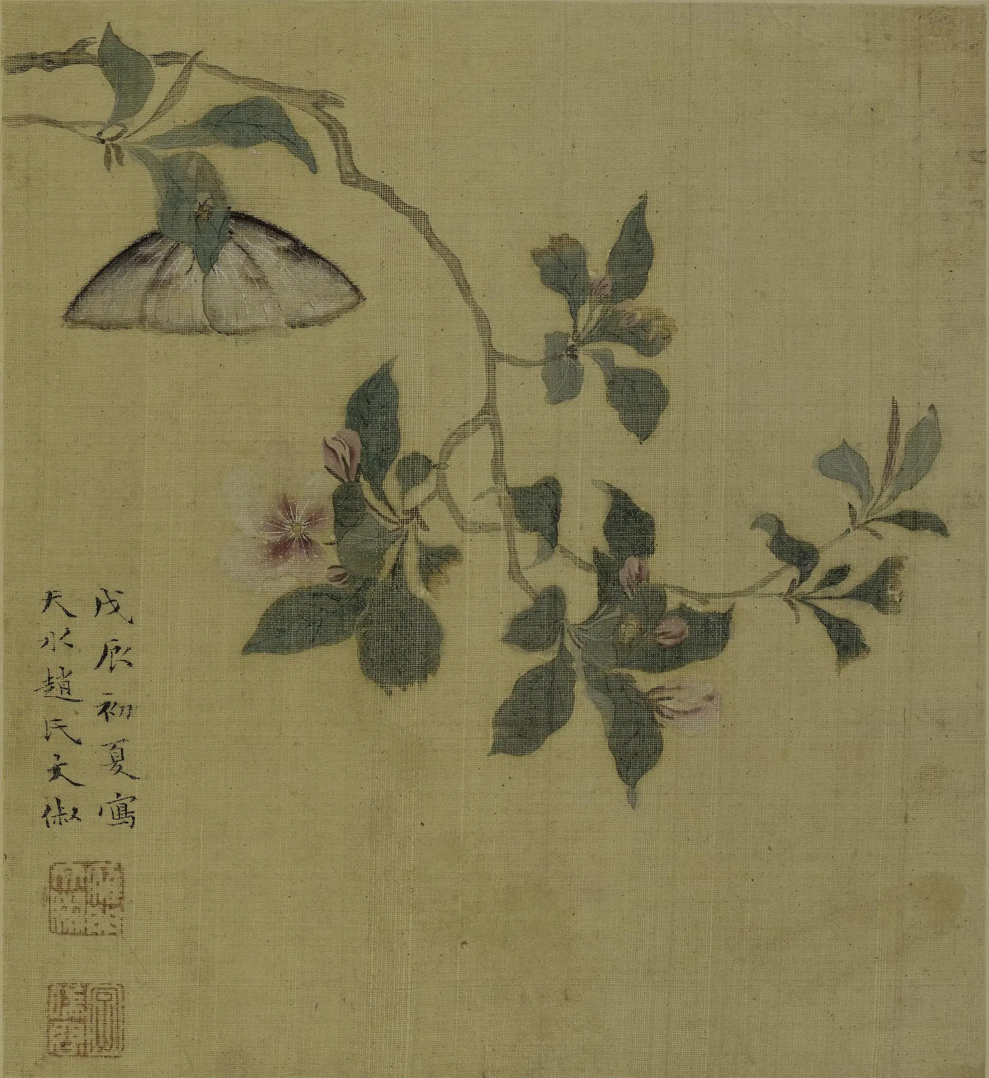 明朝【文俶】《花鸟草虫图册（八开）》 第2张