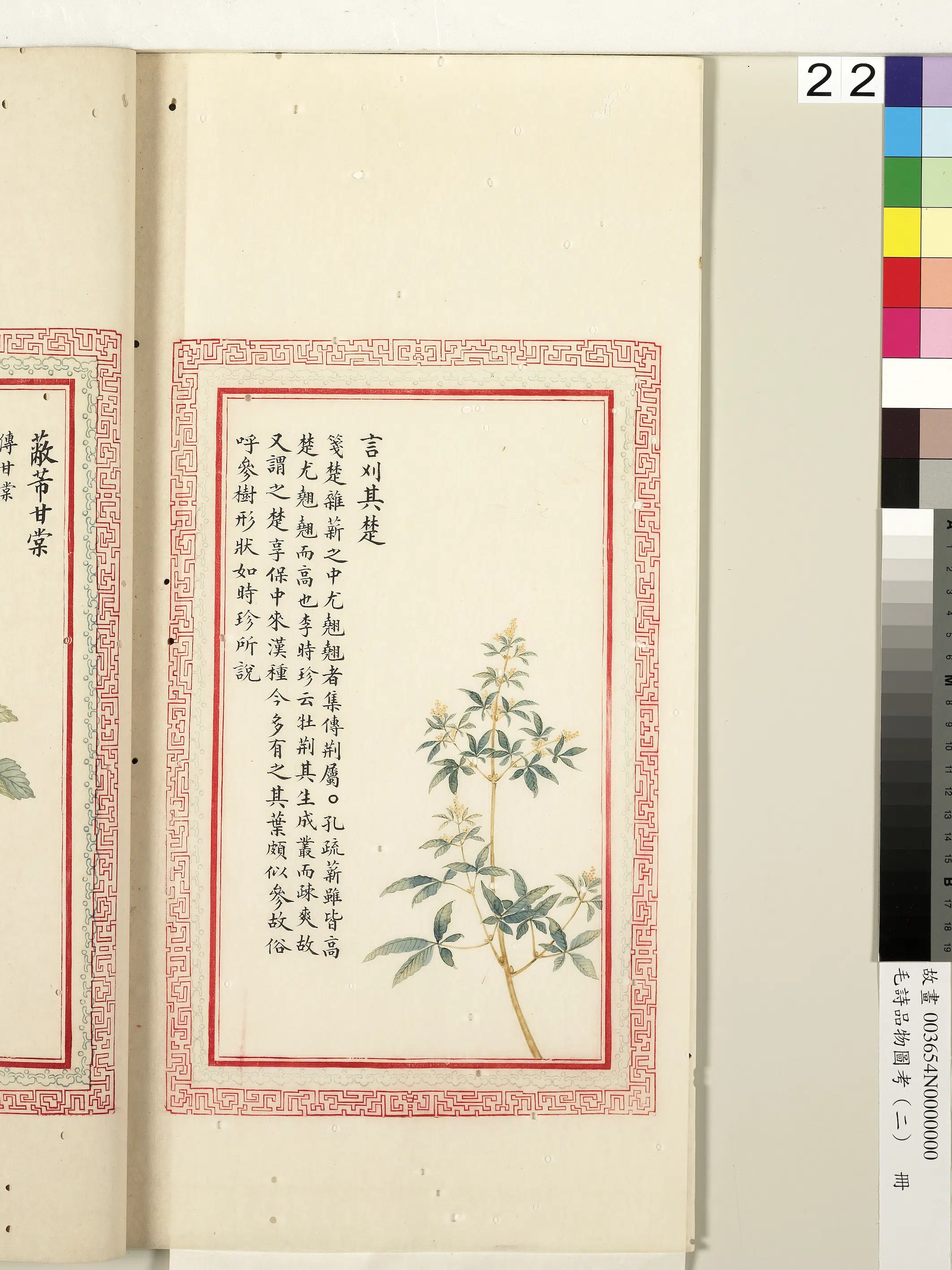 清代《毛诗品物图考(二)册-1》 第50张 清代《毛诗品物图考(二)册-1》 第50张
