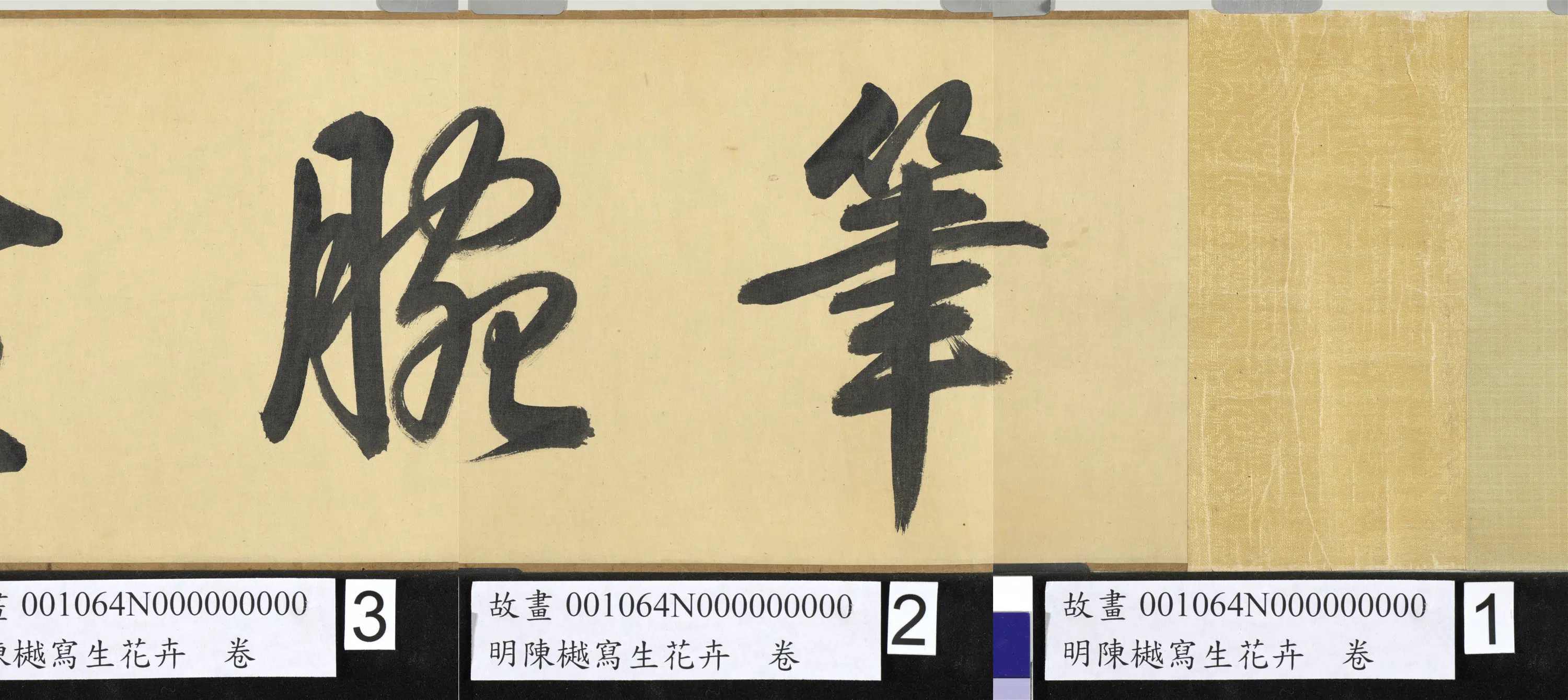 明朝【陈樾】《写生花卉卷》 第7张