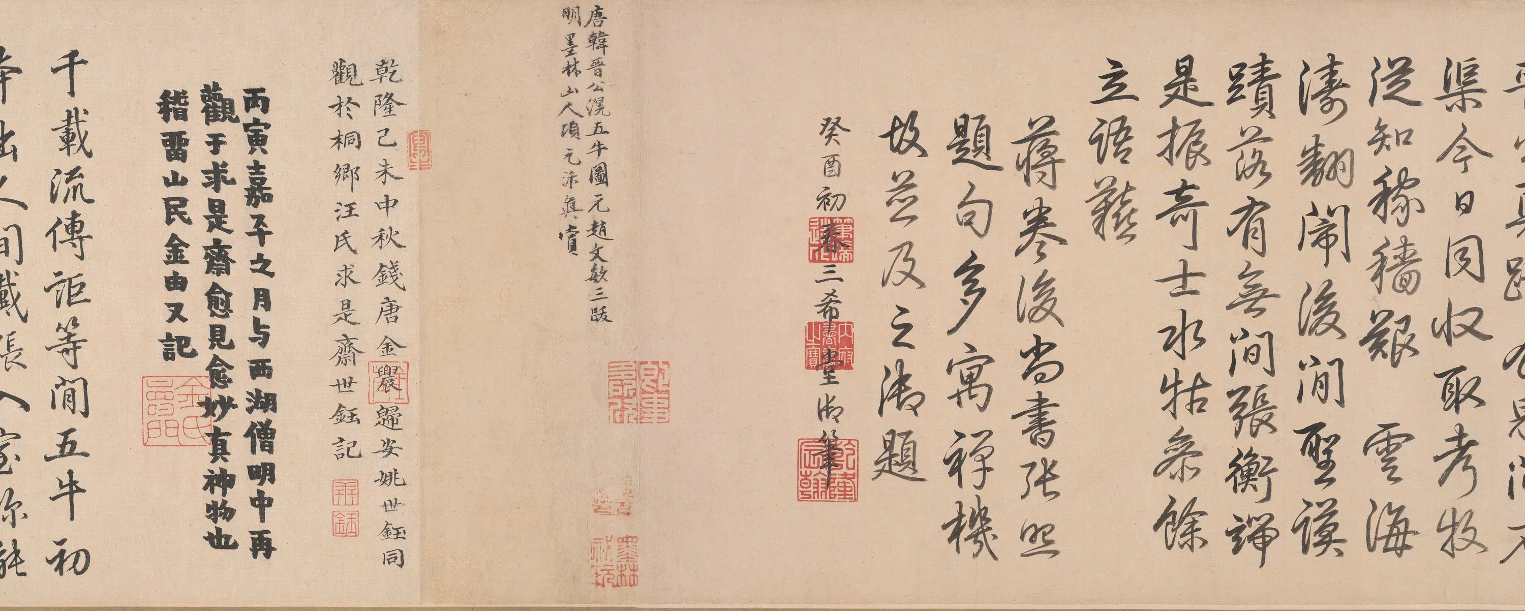 唐朝【韩滉】《五牛图卷》 第4张