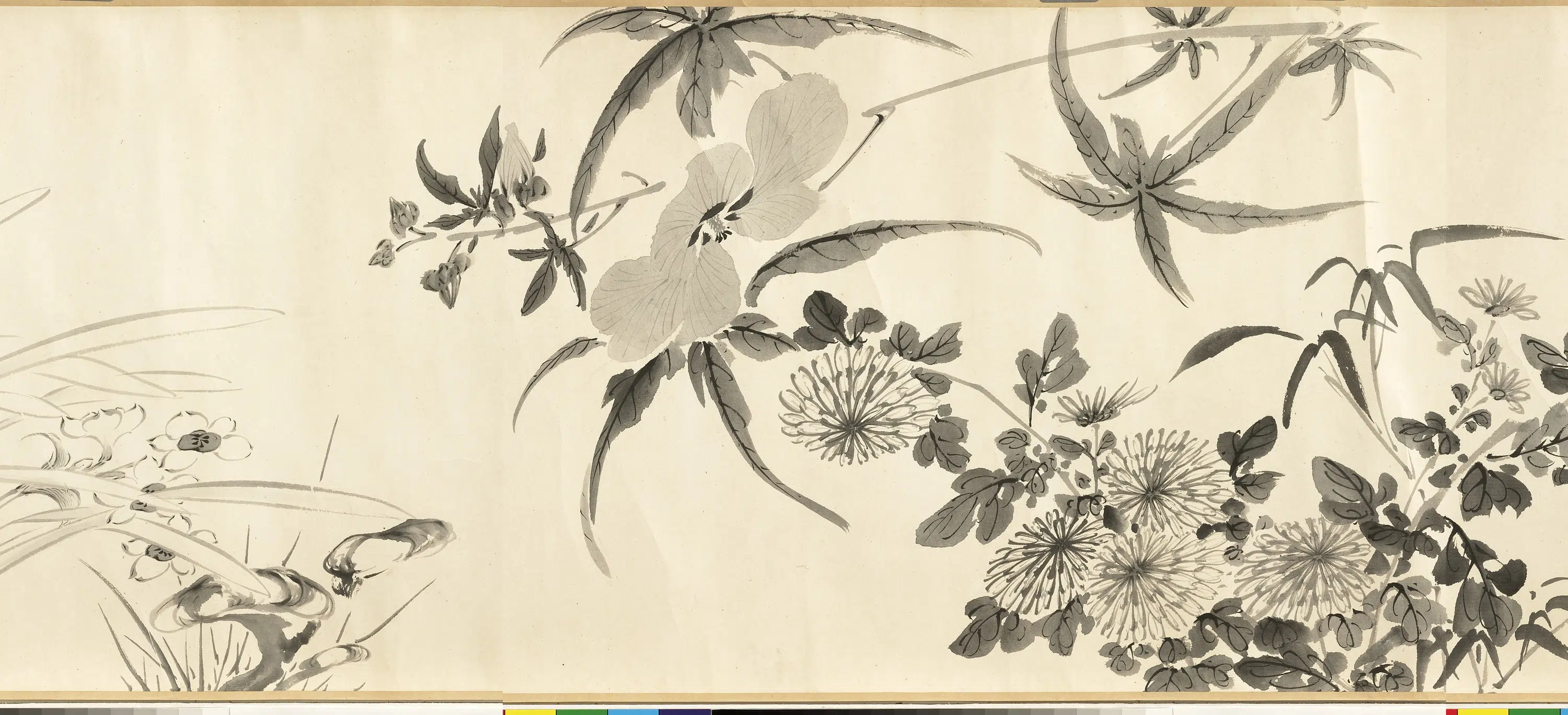 清代【张画】《画杂卉卷》 第2张
