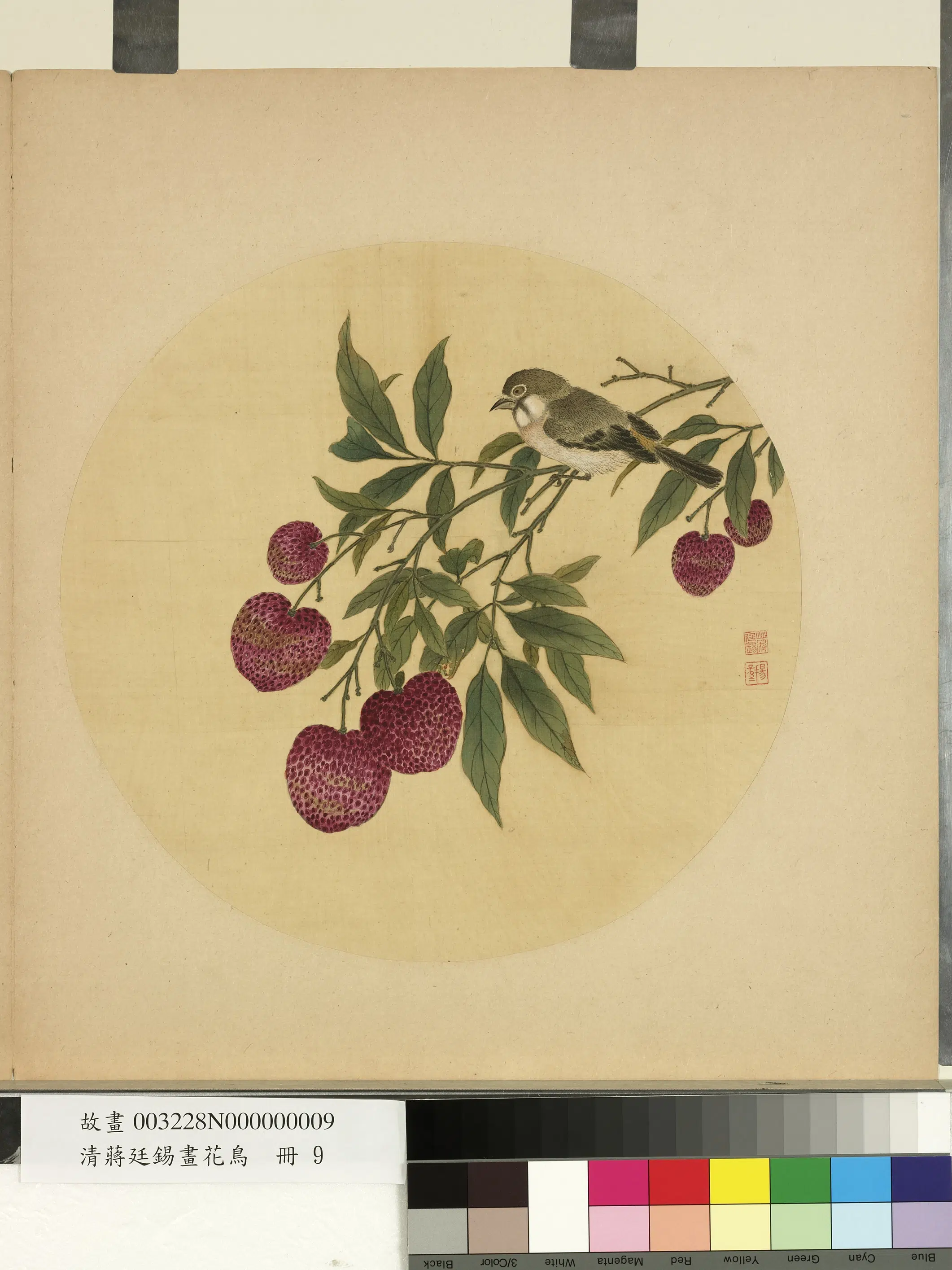 清代【蒋廷锡】《画花鸟册-2》 第8张 清代【蒋廷锡】《画花鸟册-2》 第8张