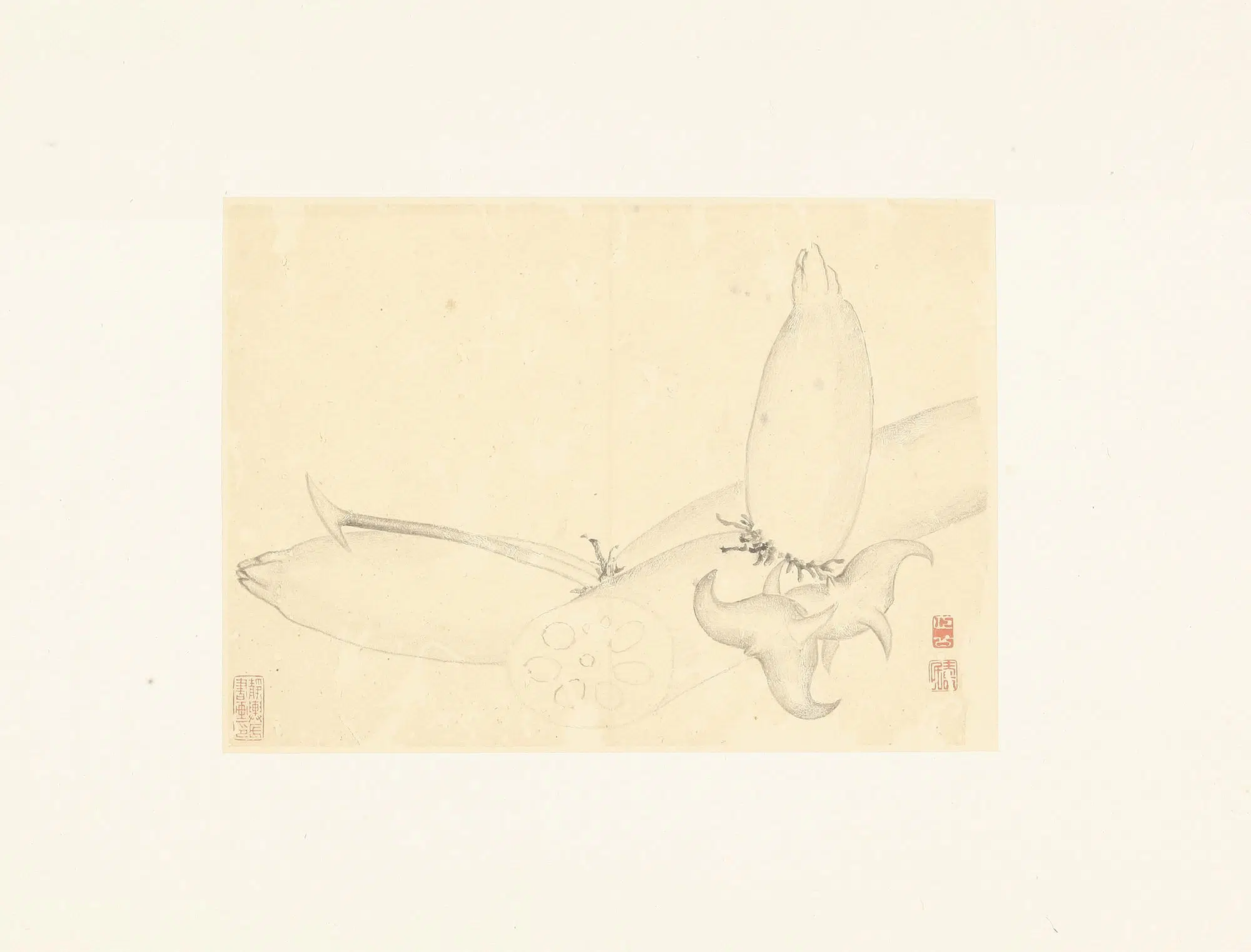 清朝【边寿民】《花卉册页》 第2张