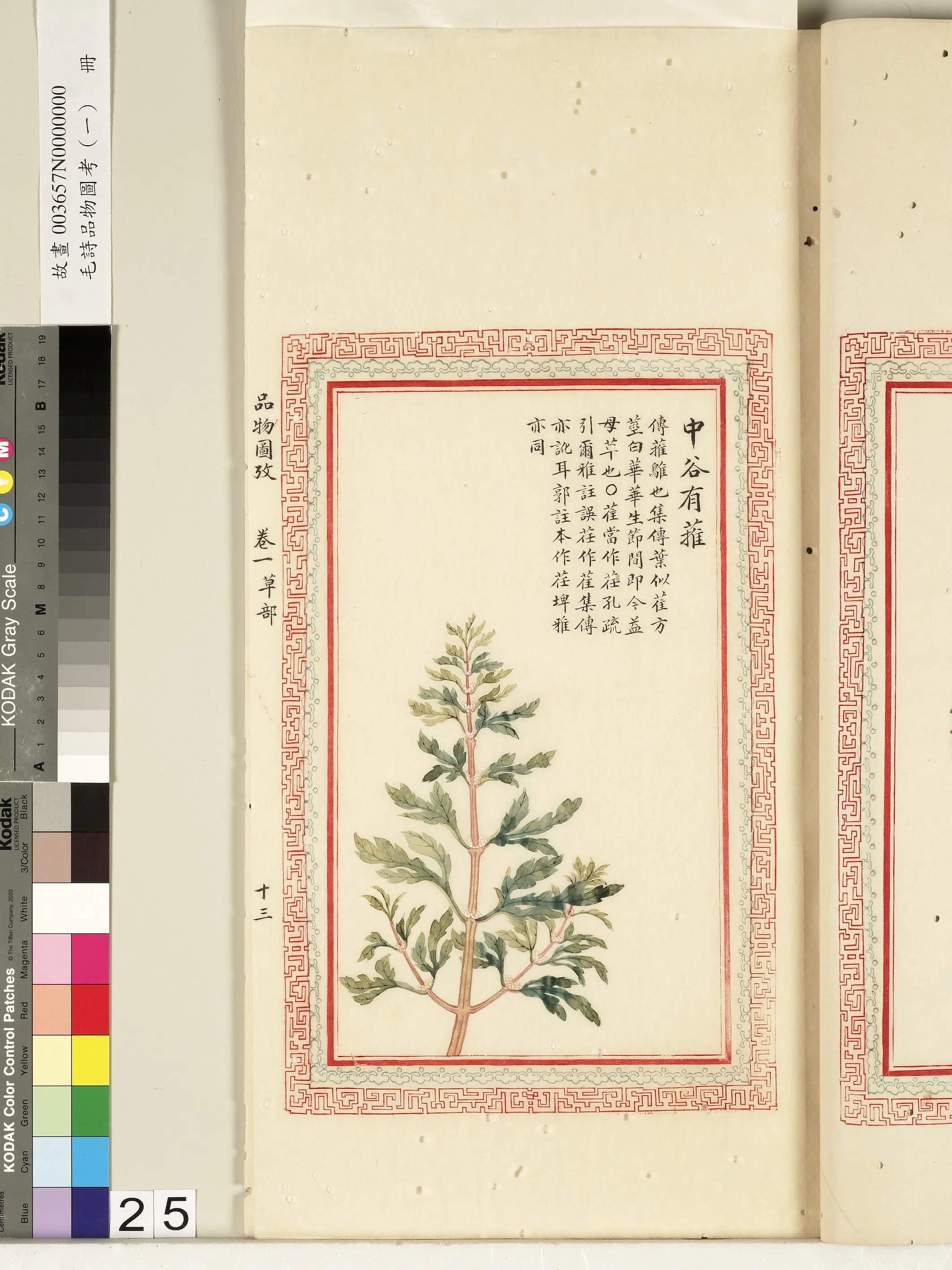 清朝【佚名】《毛诗品物图考（一）册-中谷有蓷-2》