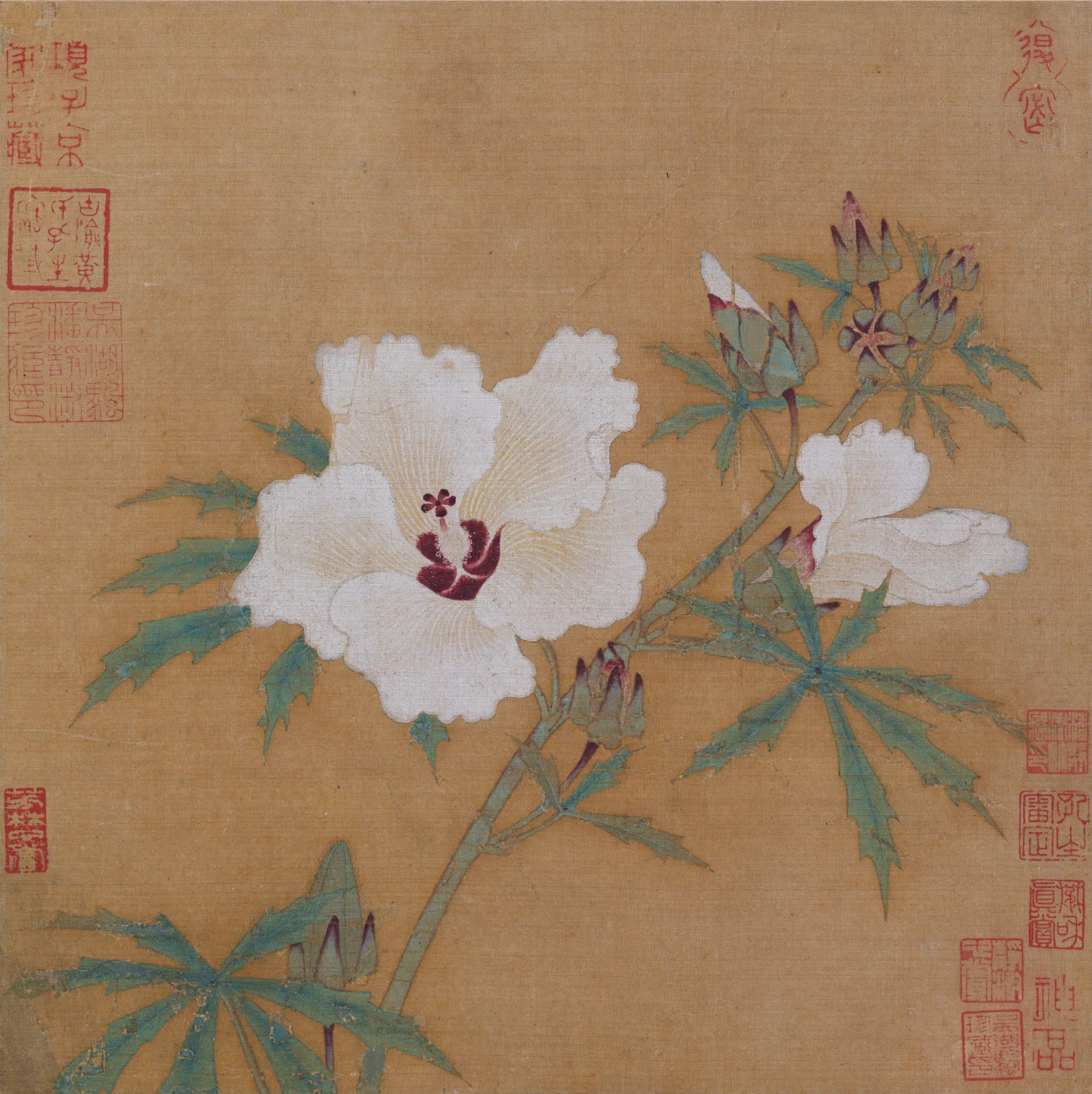 南宋【佚名】《秋葵图页》