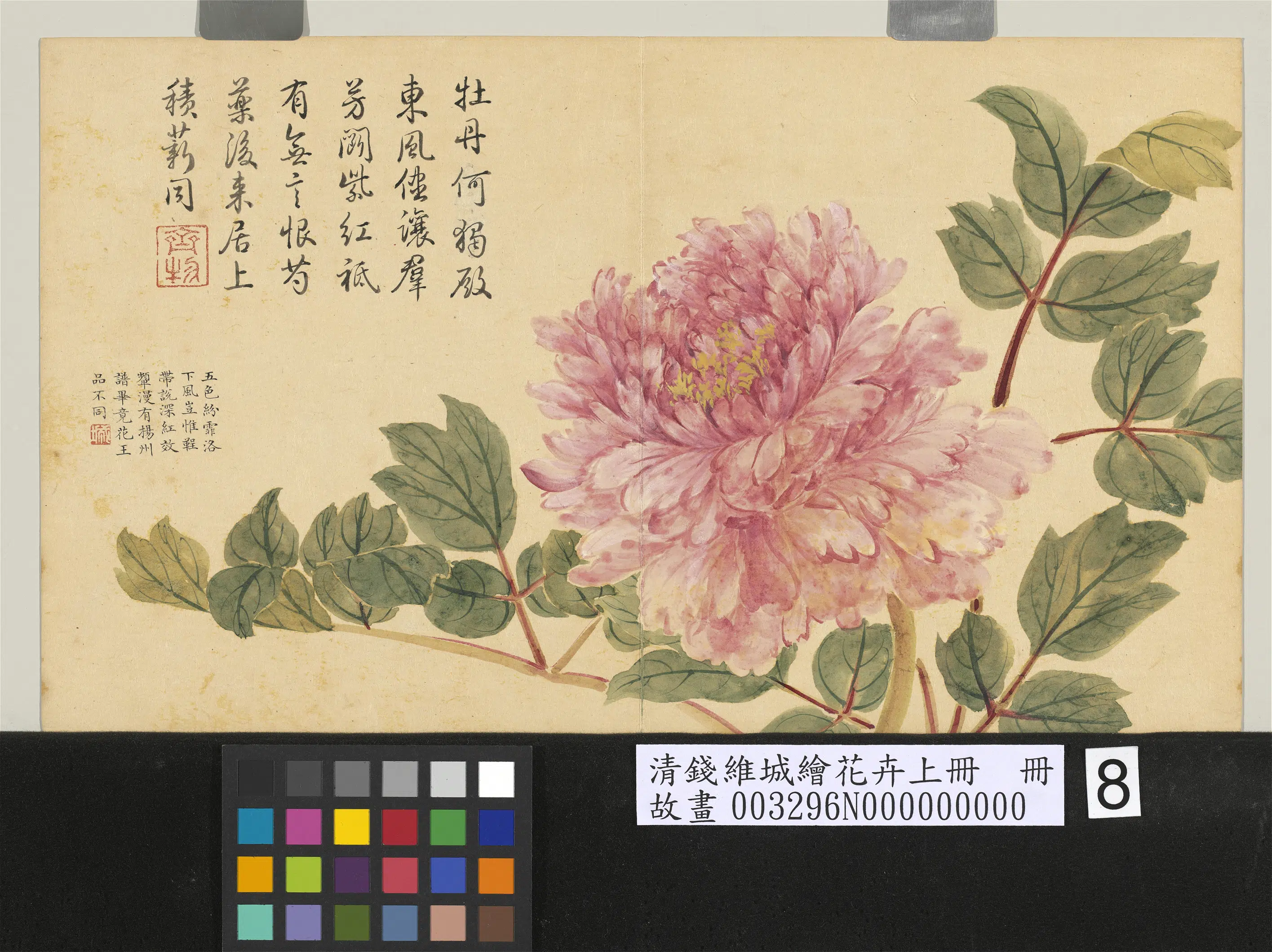 清代【钱维城】《绘花卉（上）册牡丹》