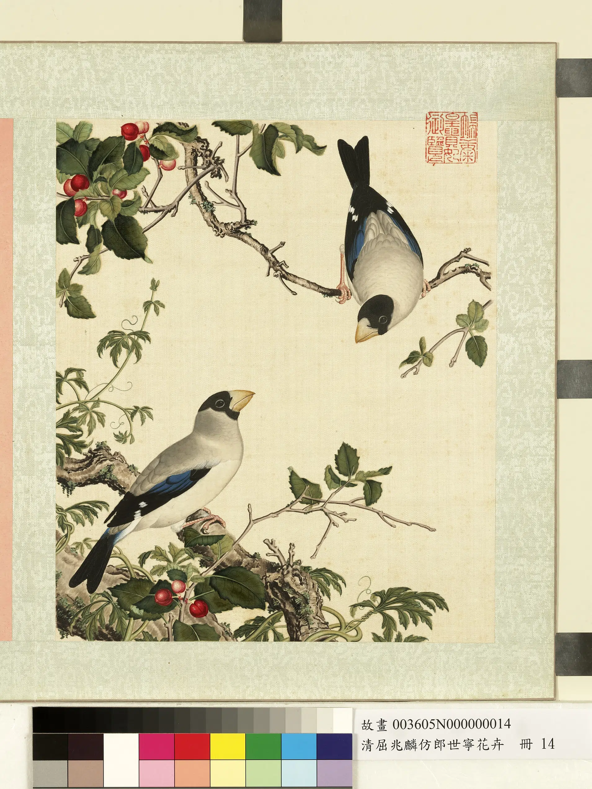 清代【屈兆麟】《仿郎世宁花卉册》 第3张 清代【屈兆麟】《仿郎世宁花卉册》 第3张