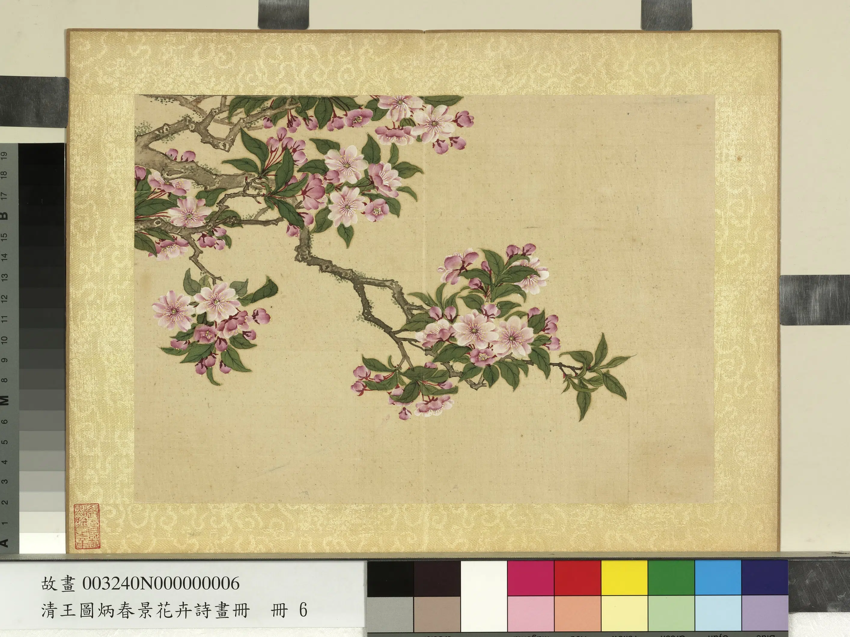 清代【王图炳】《春景花卉诗画册-红梨花》