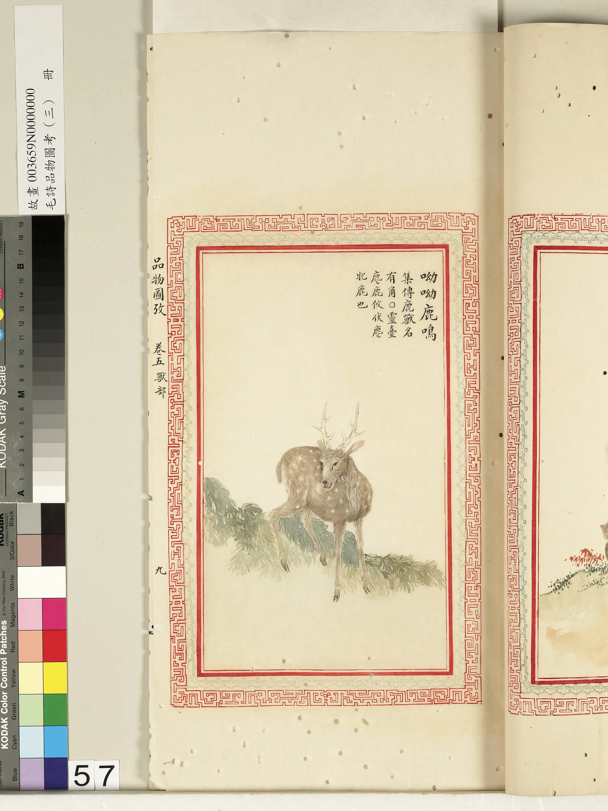 清代《毛诗品物图考（三）册-2》 第11张