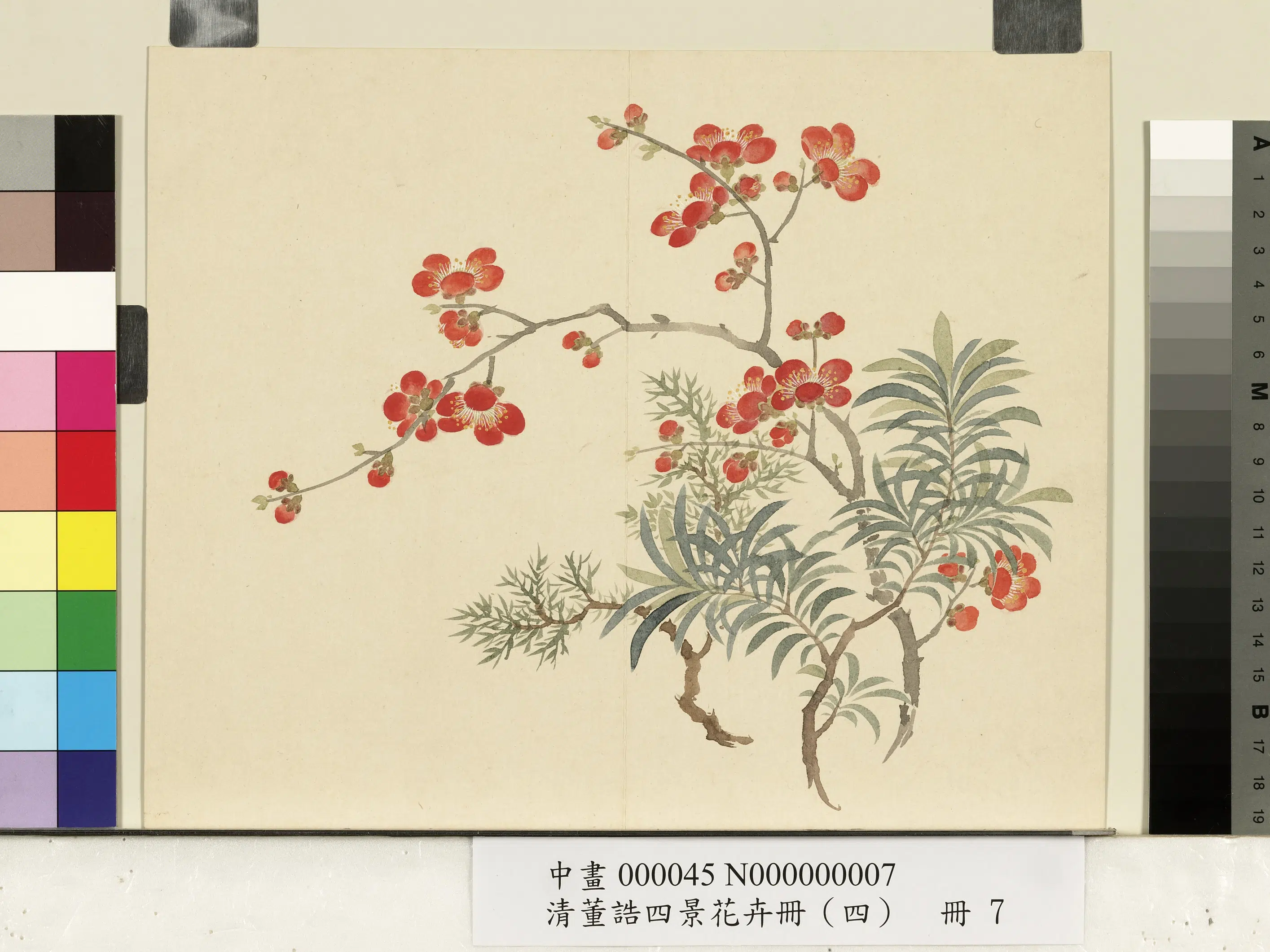 清代【董诰】《四景花卉(四)册-冬景花卉之七》 第1张 清代【董诰】《四景花卉(四)册-冬景花卉之七》 第1张