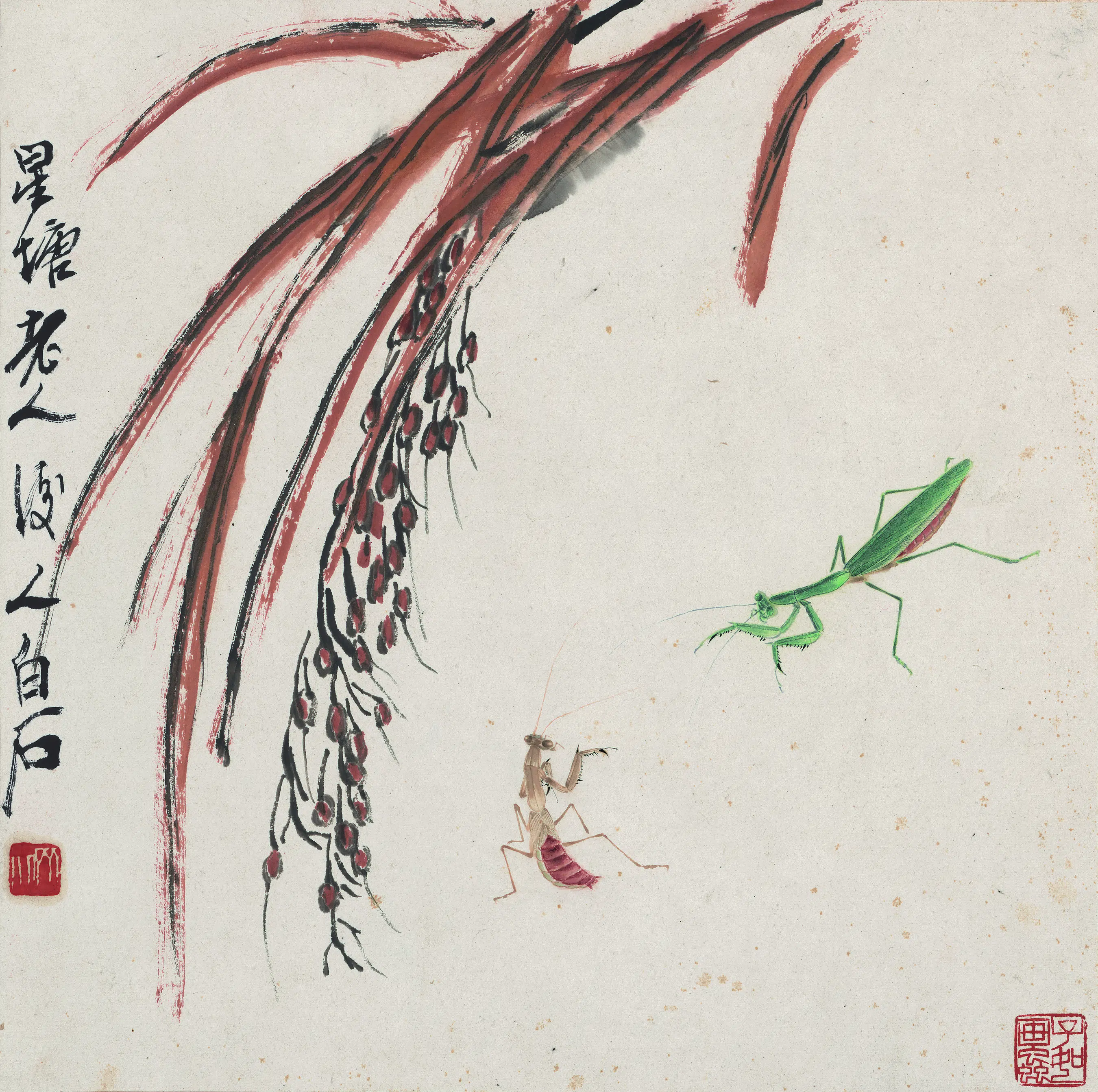 近现代【齐白石】《花果草虫册-蚱蜢螳螂图》