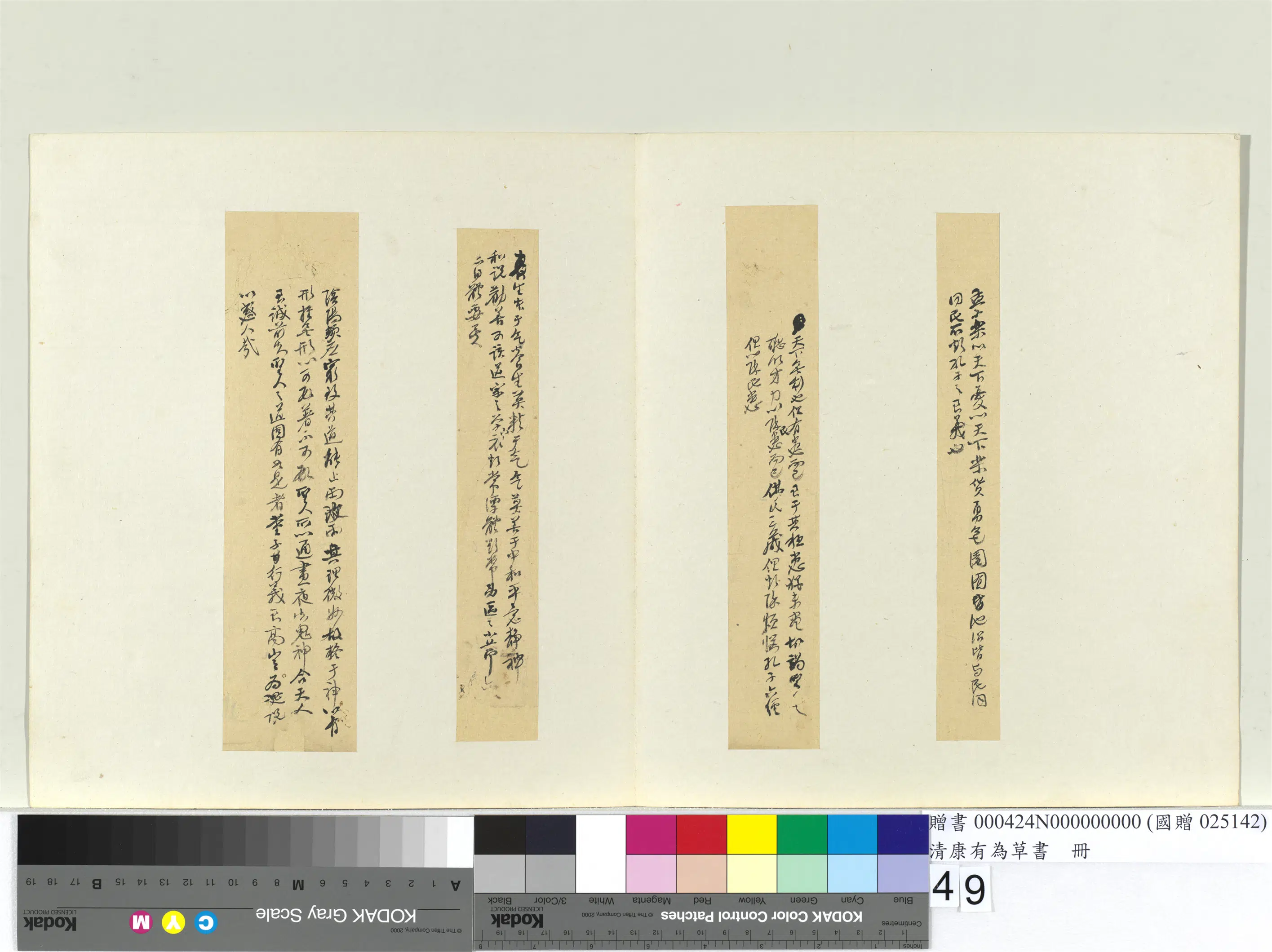 清代【康有为】《草书册》 第44张