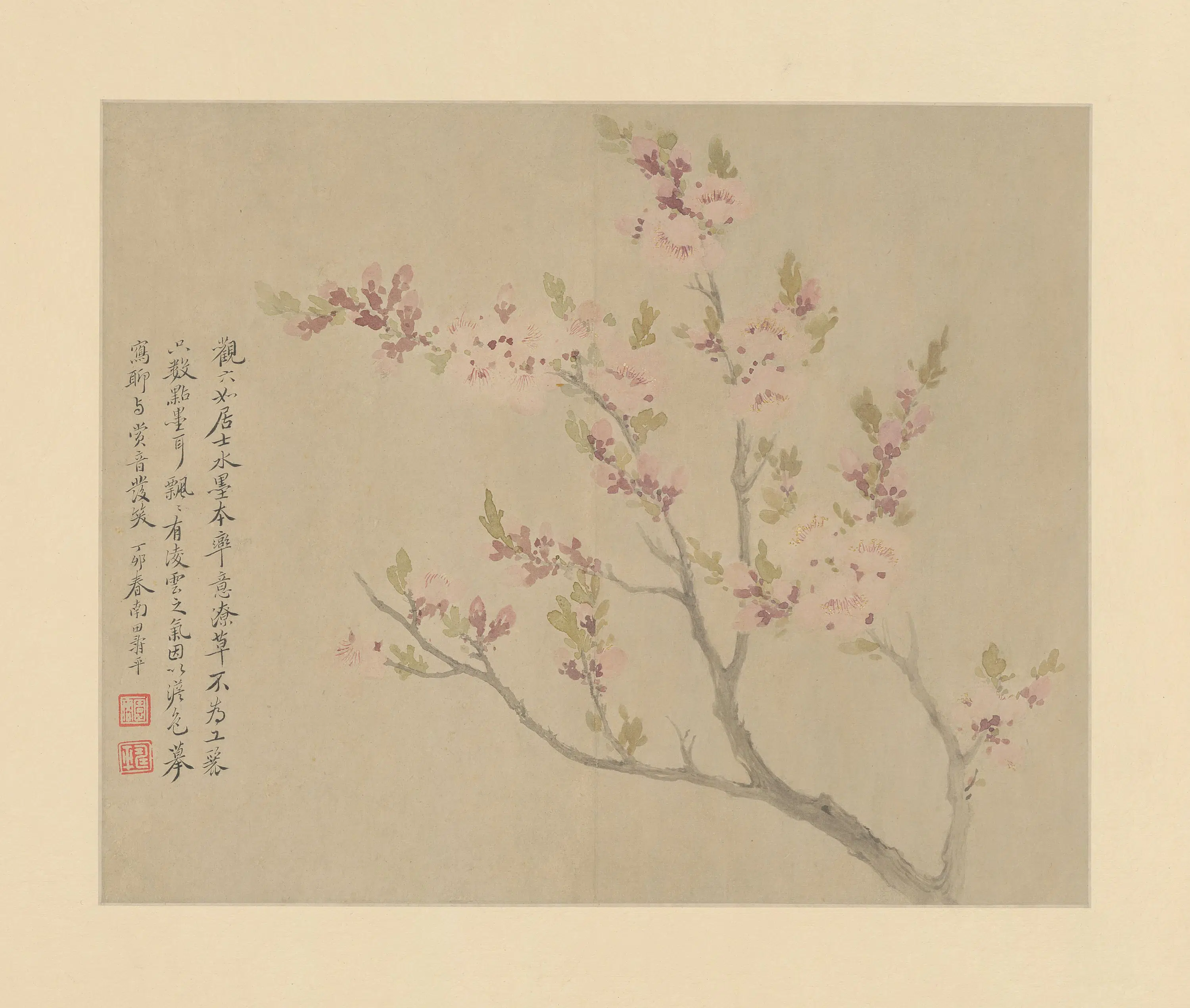 清代【恽寿平】《恽寿平花卉册》