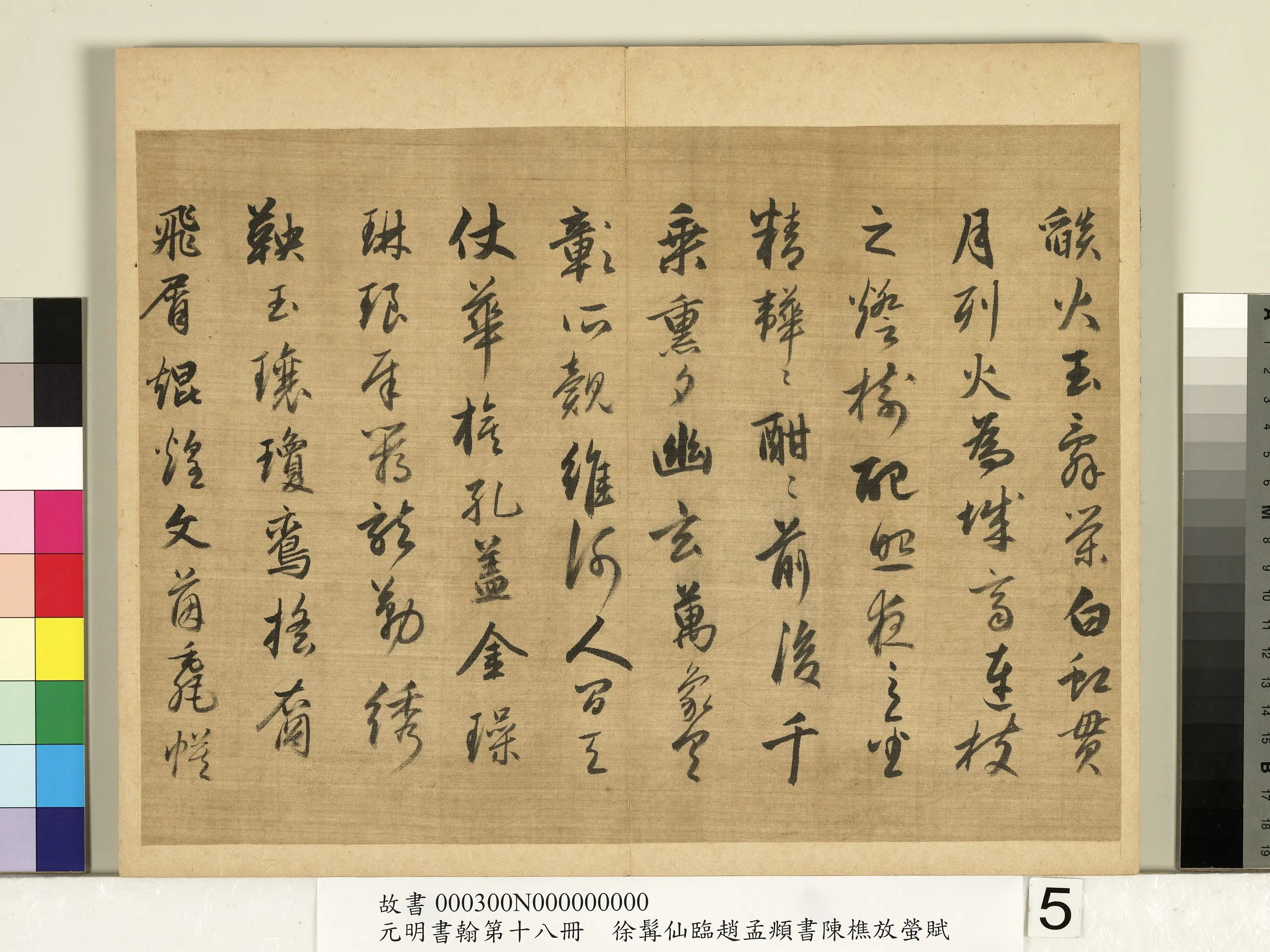 明朝【徐霖】《临赵孟頫行书陈樵放萤赋-元明书翰第十八册》 第9张