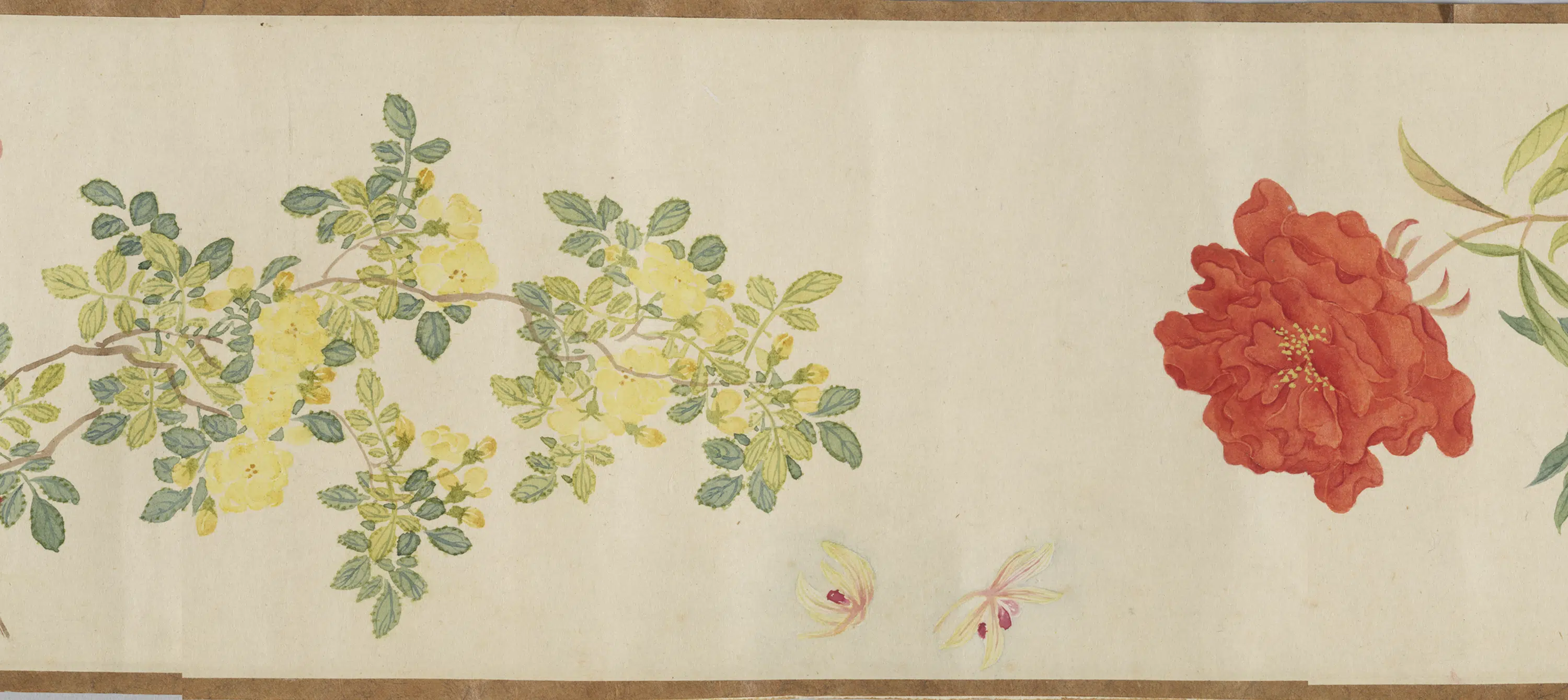 清代【李秉德】《画花卉图卷》 第3张