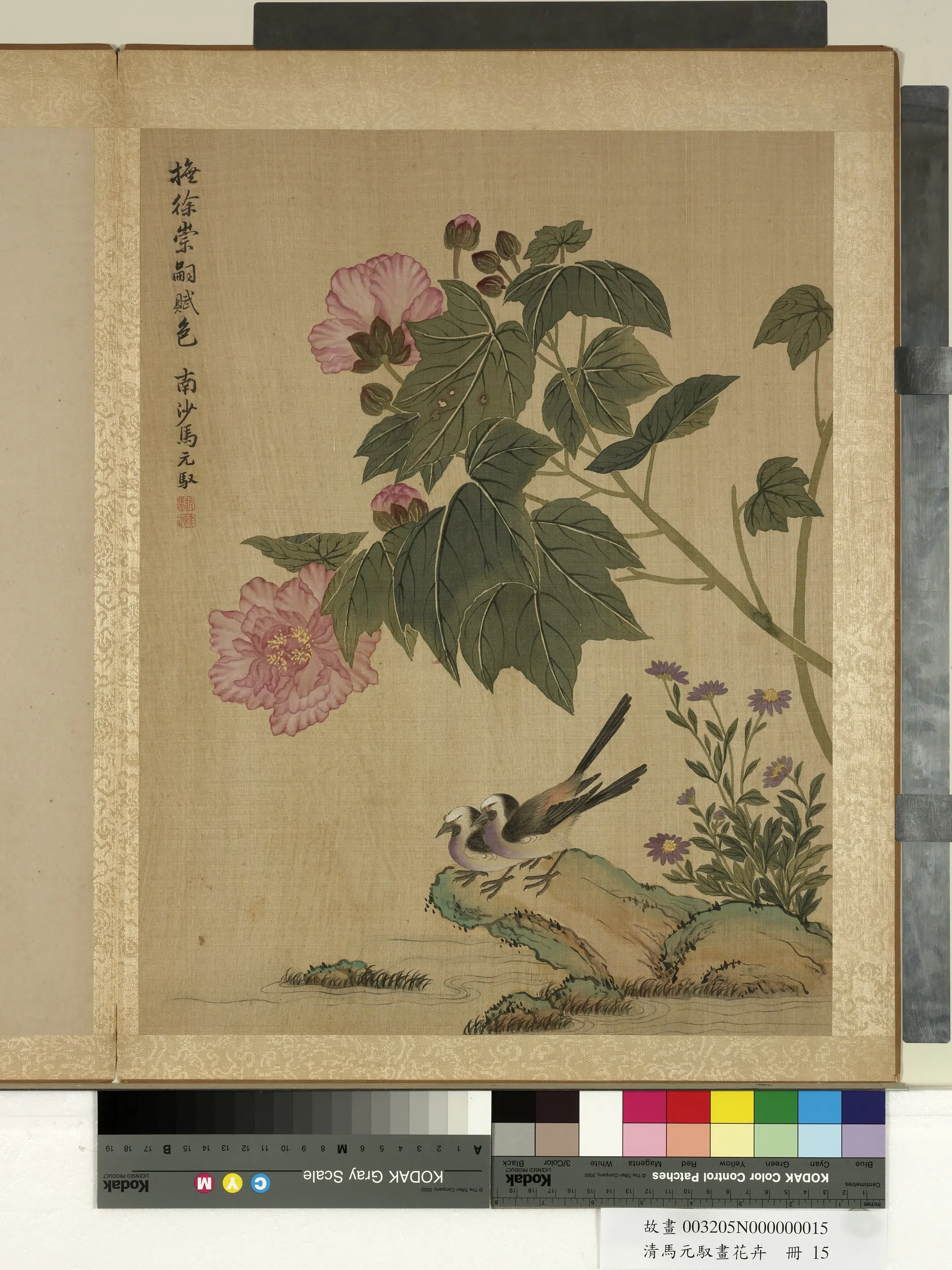 清朝【马元驭】《画花卉册》 第12张