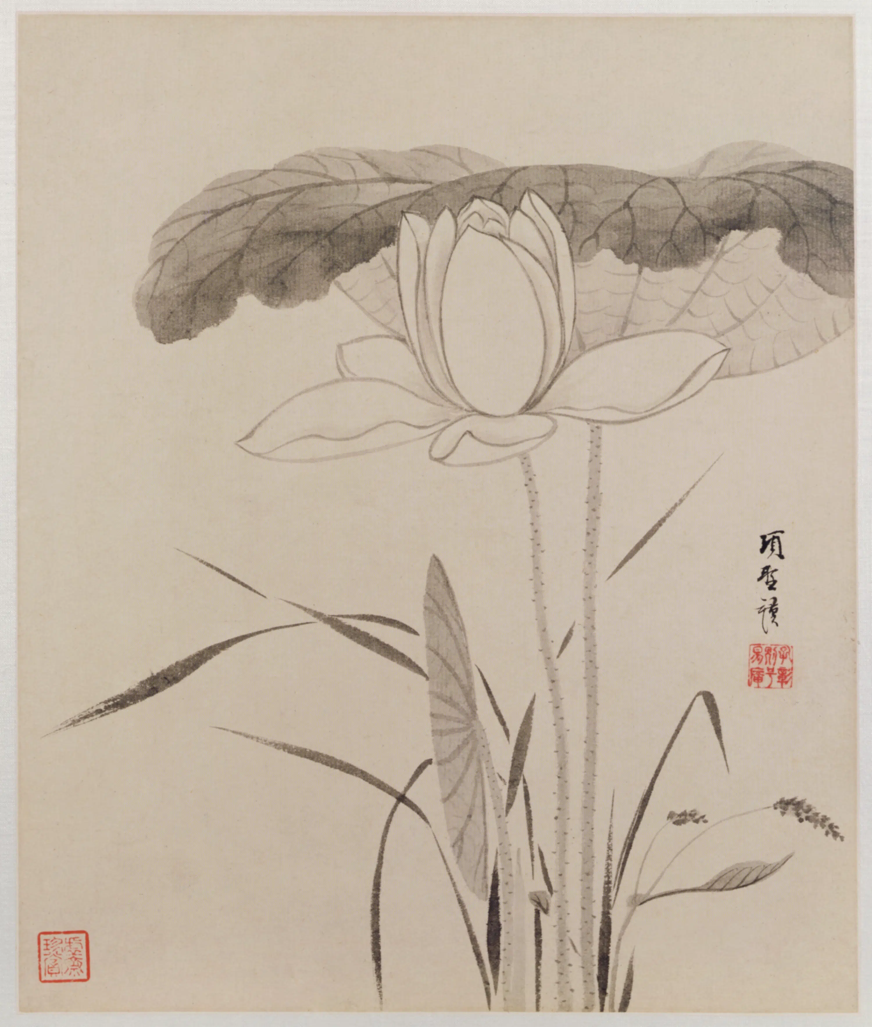明朝【项圣谟】《花卉草虫册（8开）》 第5张