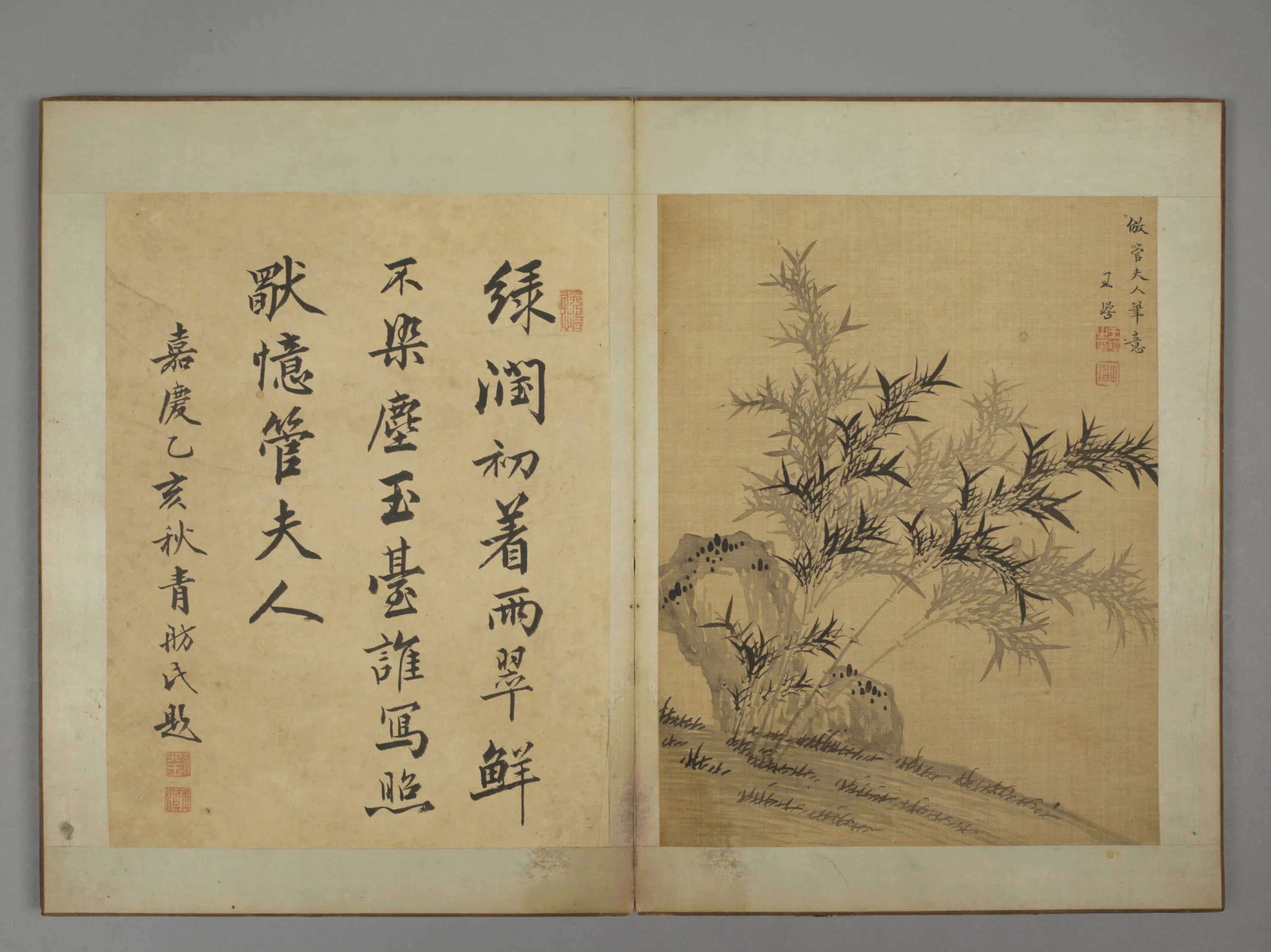 清代【王崿】《竹石册》