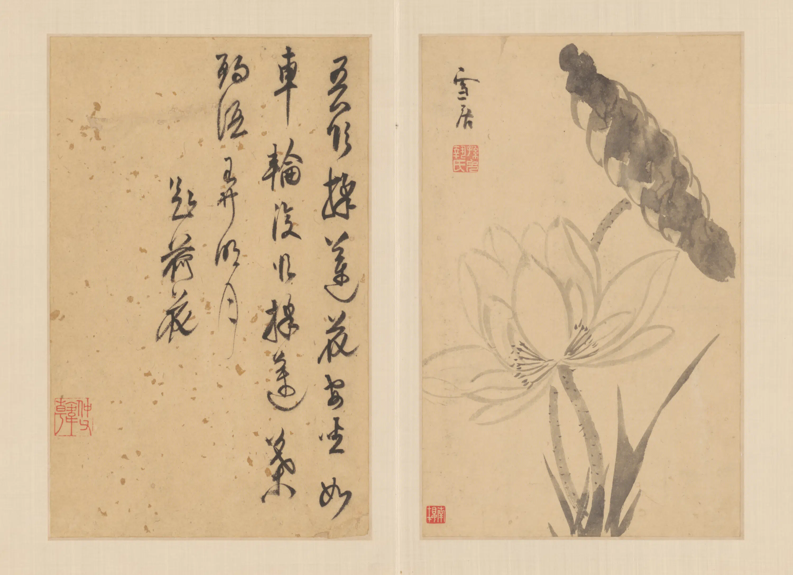 明朝【孙克弘】《花卉图册（11开）》 第4张