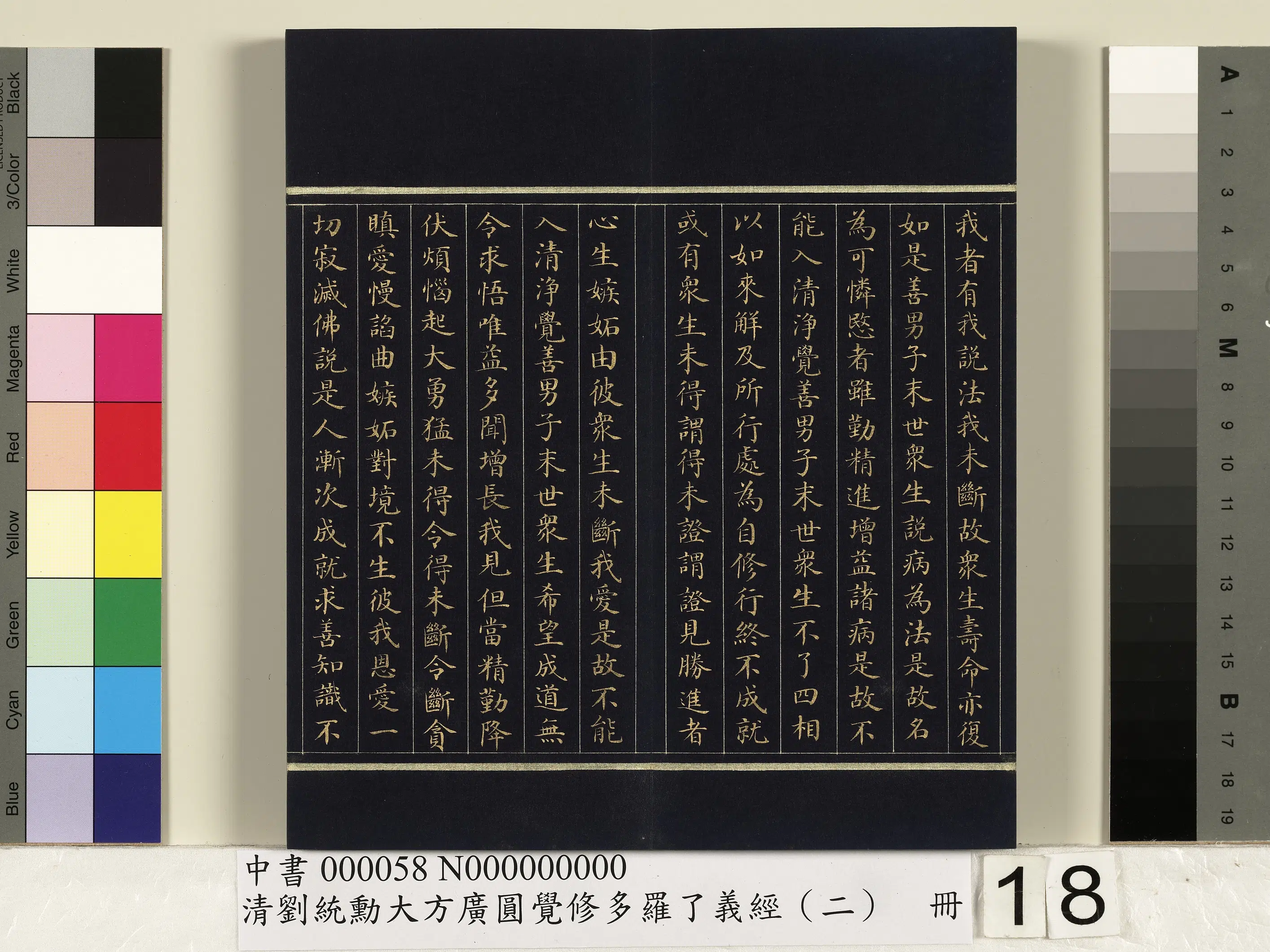 清代【刘统勋】《大方广圆觉修多罗了义经（二）册》 第10张