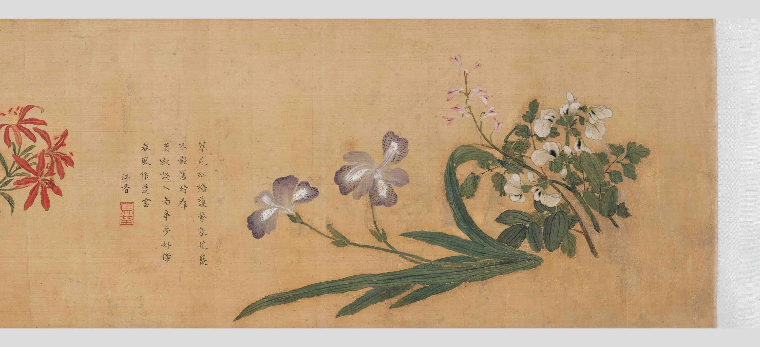 清代【马荃】《四季花卉卷》 第8张 清代【马荃】《四季花卉卷》 第8张