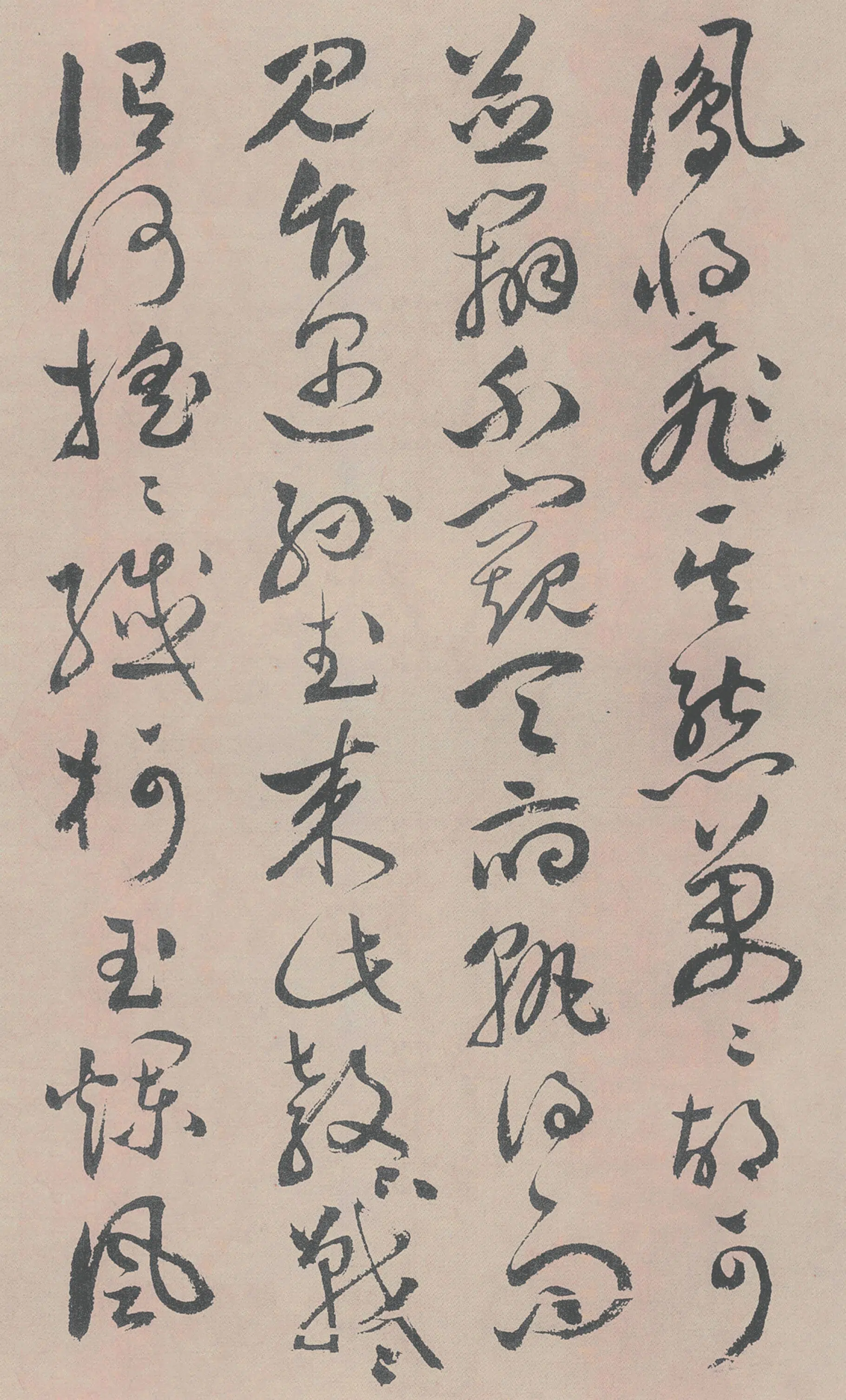 明朝【祝允明】《牡丹赋》 第9张