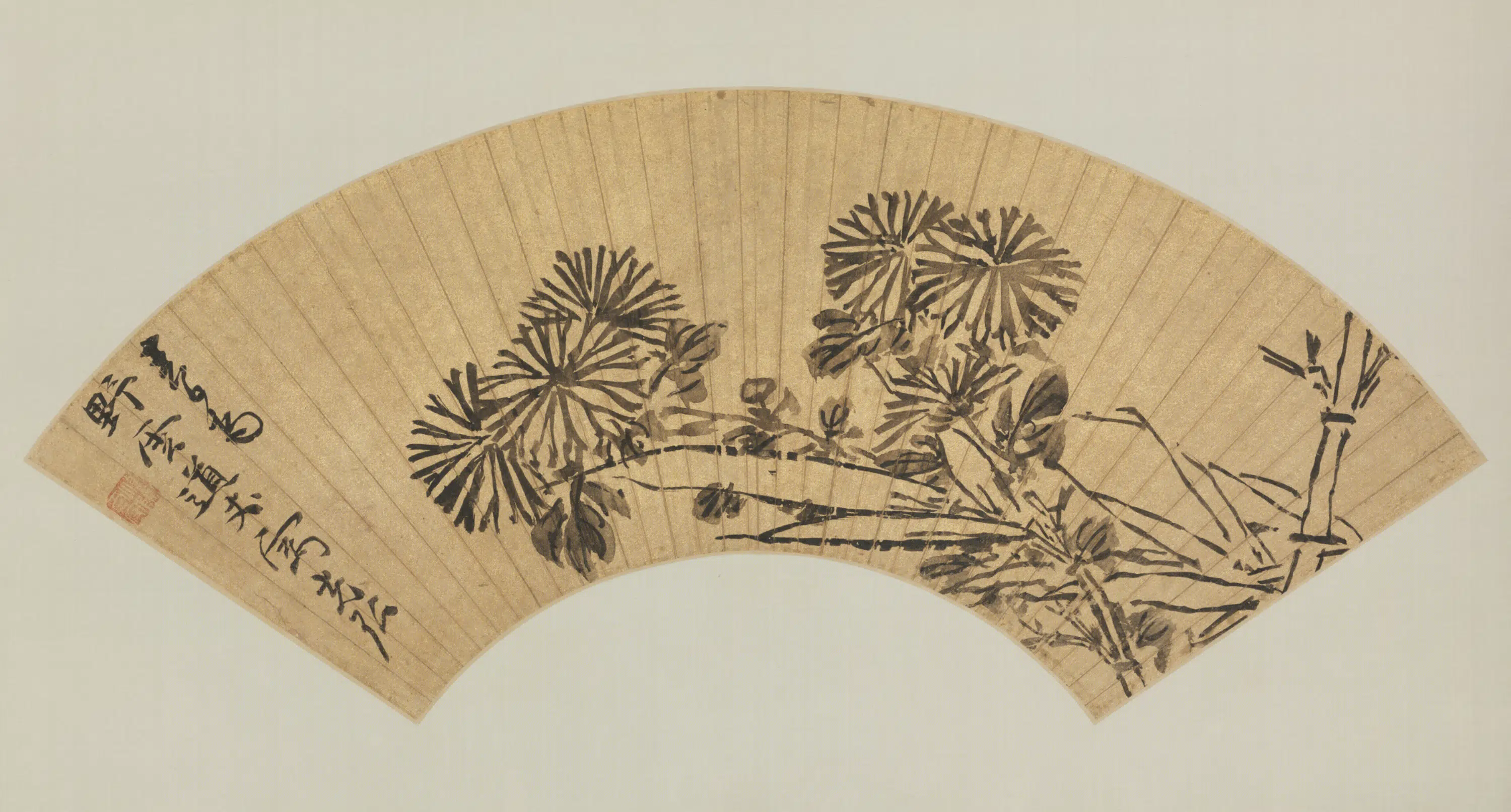 明朝【孙克弘】《墨菊扇页》
