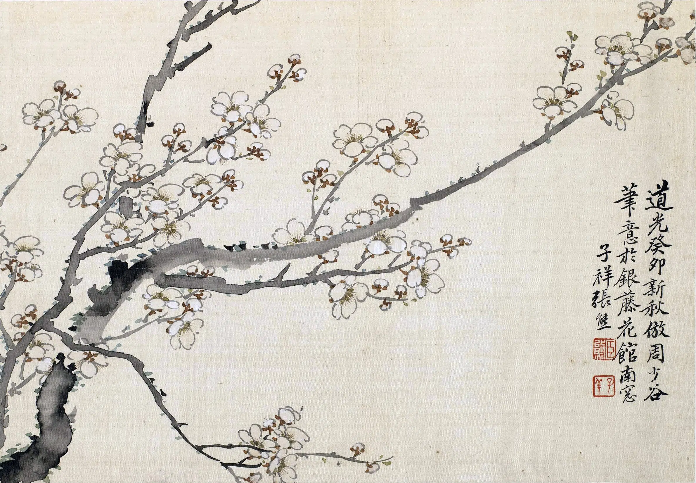 清代【张熊】《花卉册》 第10张