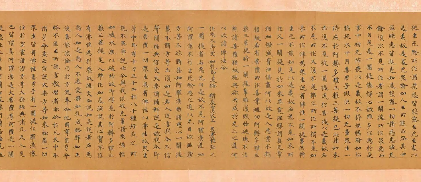 唐朝【佚名】《楷书大般涅槃经第九卷》 第12张 唐朝【佚名】《楷书大般涅槃经第九卷》 第12张