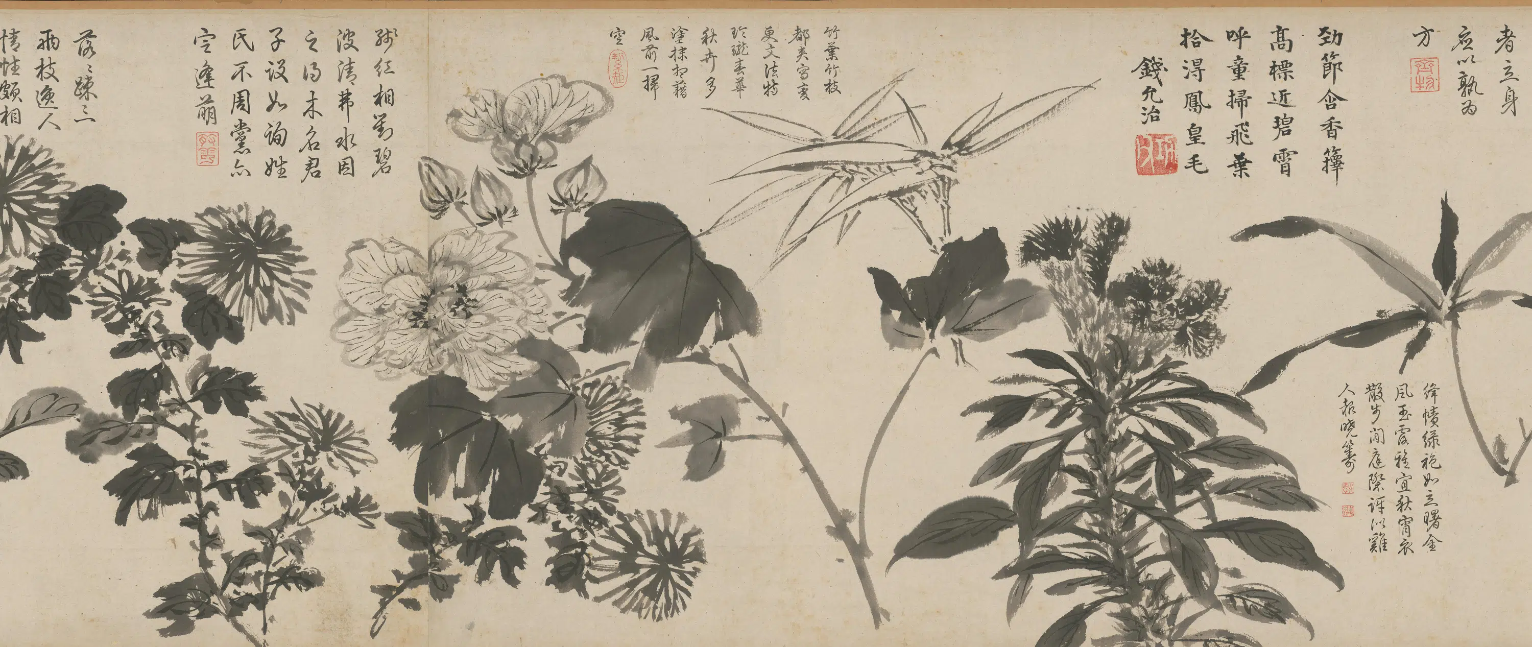 明朝【周之冕】《百花图卷》 第18张 明朝【周之冕】《百花图卷》 第18张