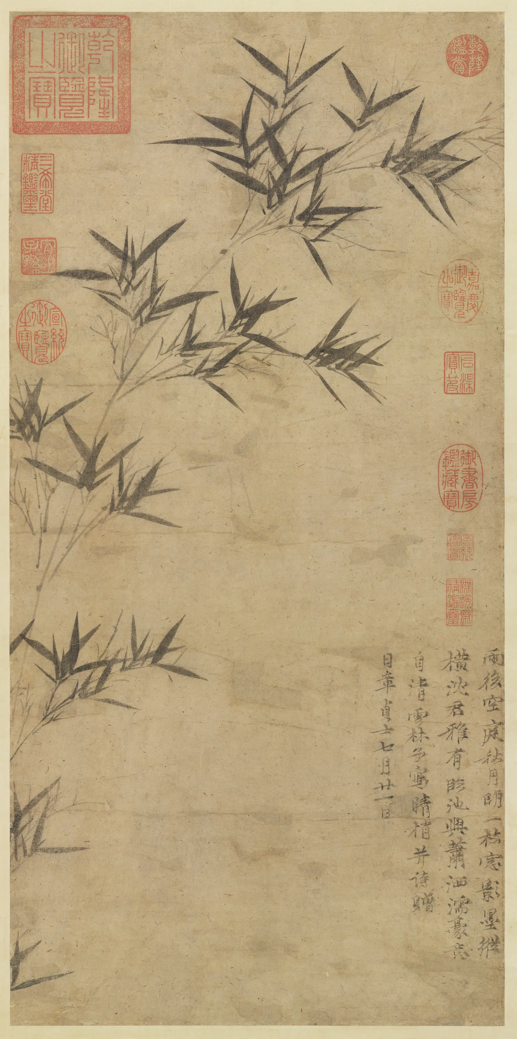 元朝【倪瓒】《画竹图轴》