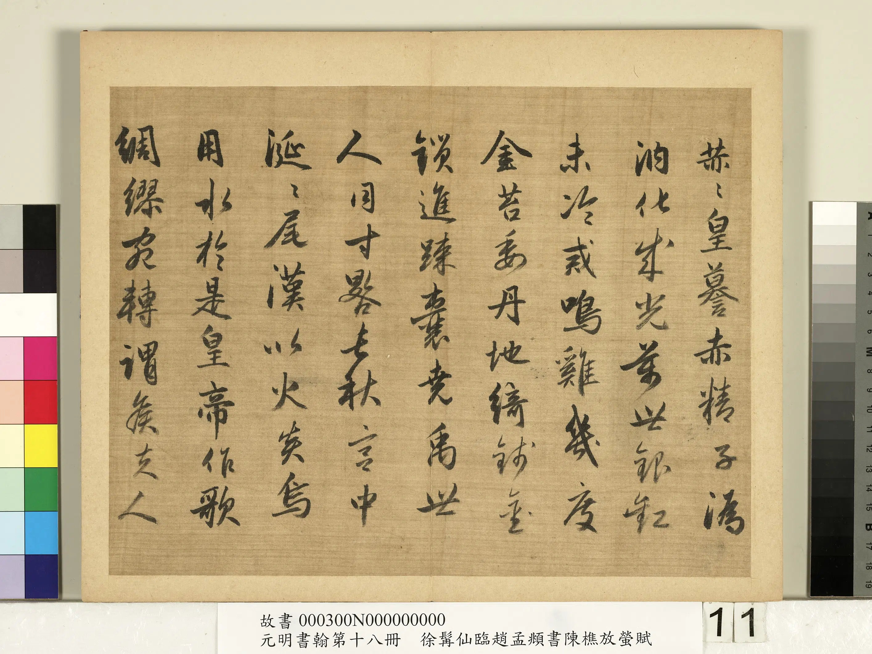 明朝【徐霖】《临赵孟頫行书陈樵放萤赋-元明书翰第十八册》 第3张