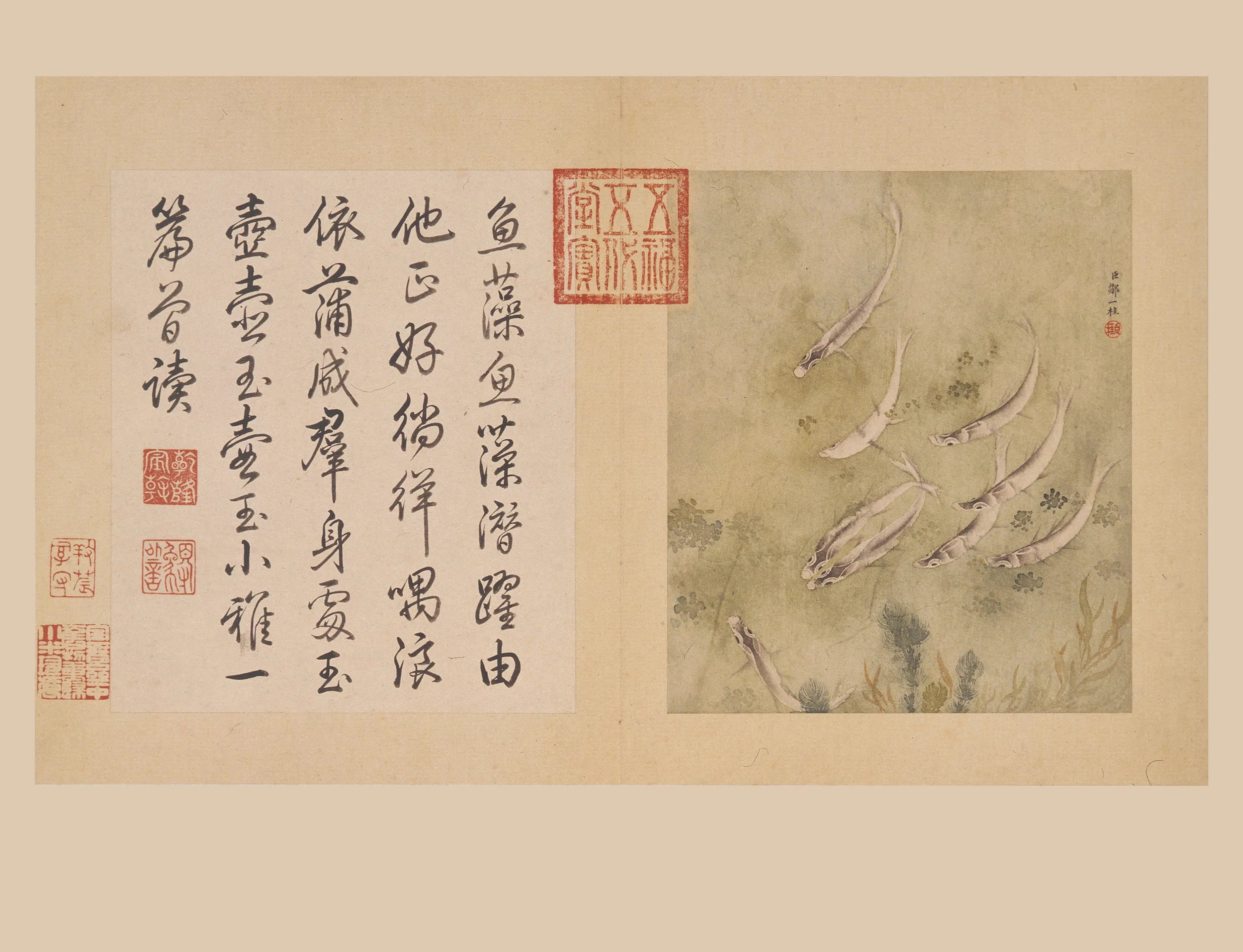 清代【邹一桂】《花卉册》