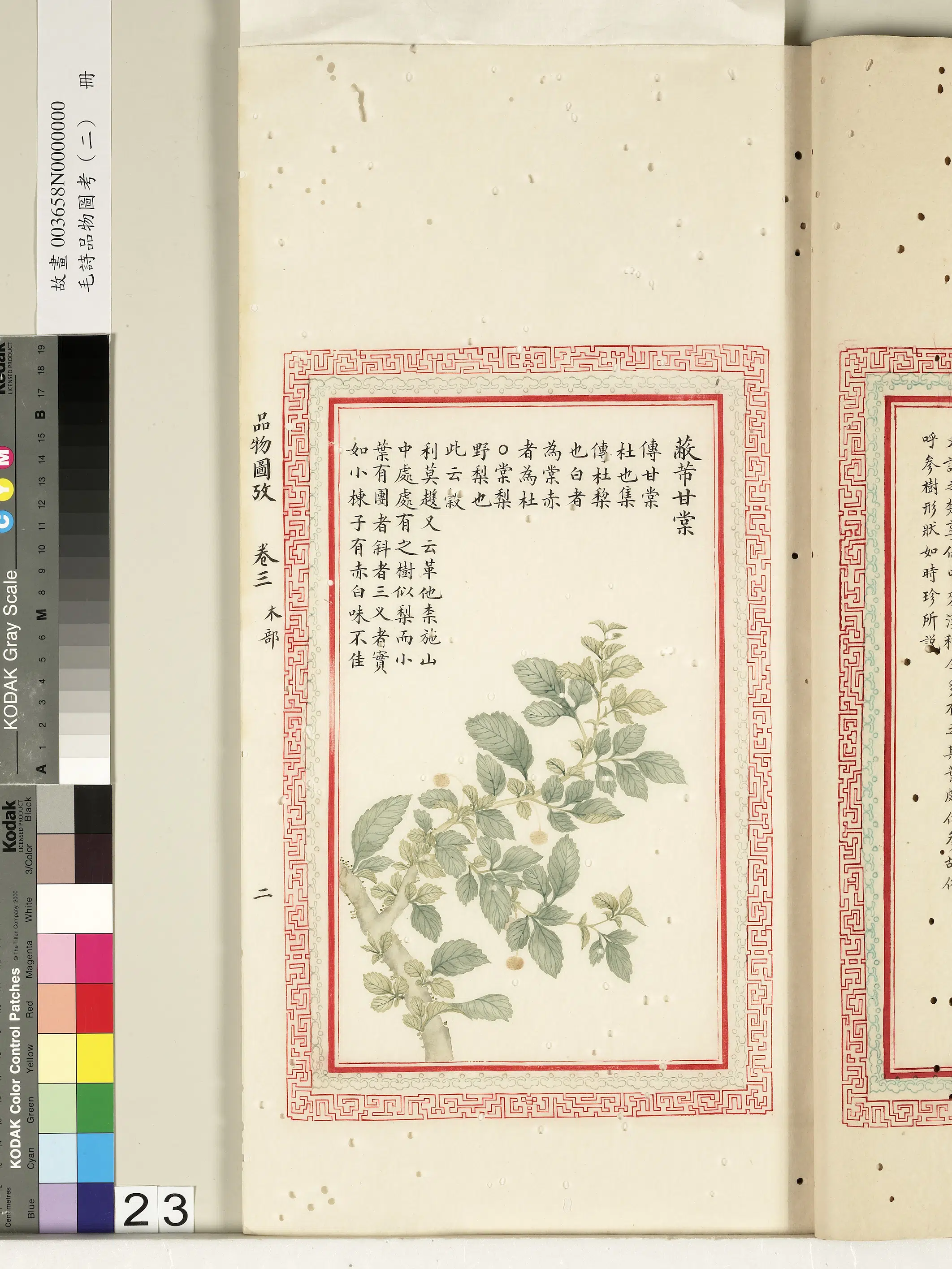 清代《毛诗品物图考（二）册-2》 第47张