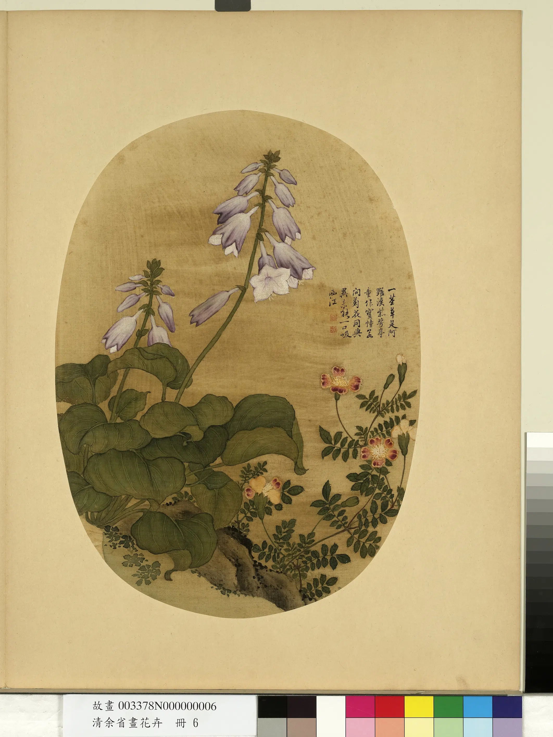 清代【余省】《画花卉册》 第4张