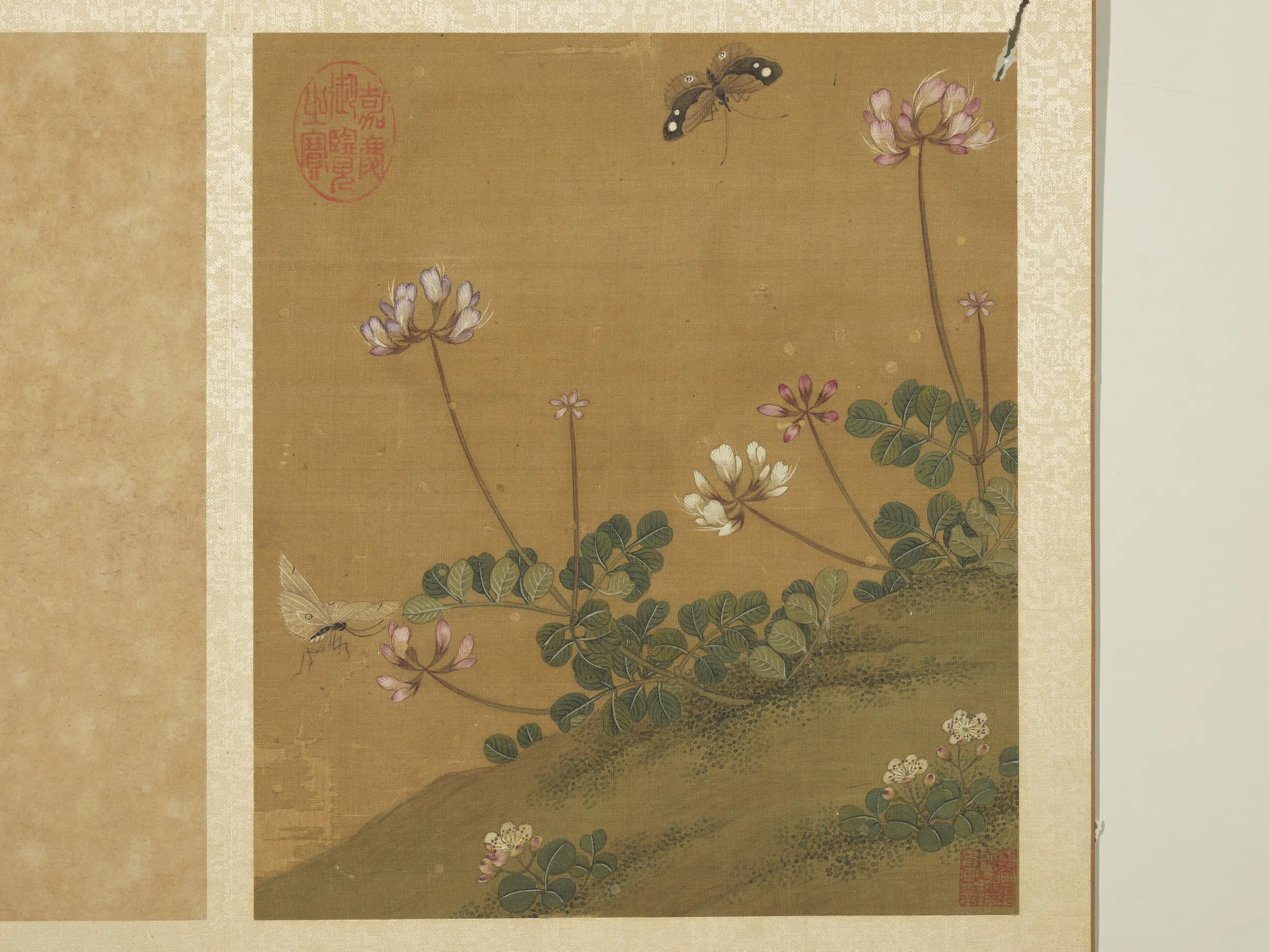 宋-元朝【钱选】《写生图册-花草蝶蛾-1》