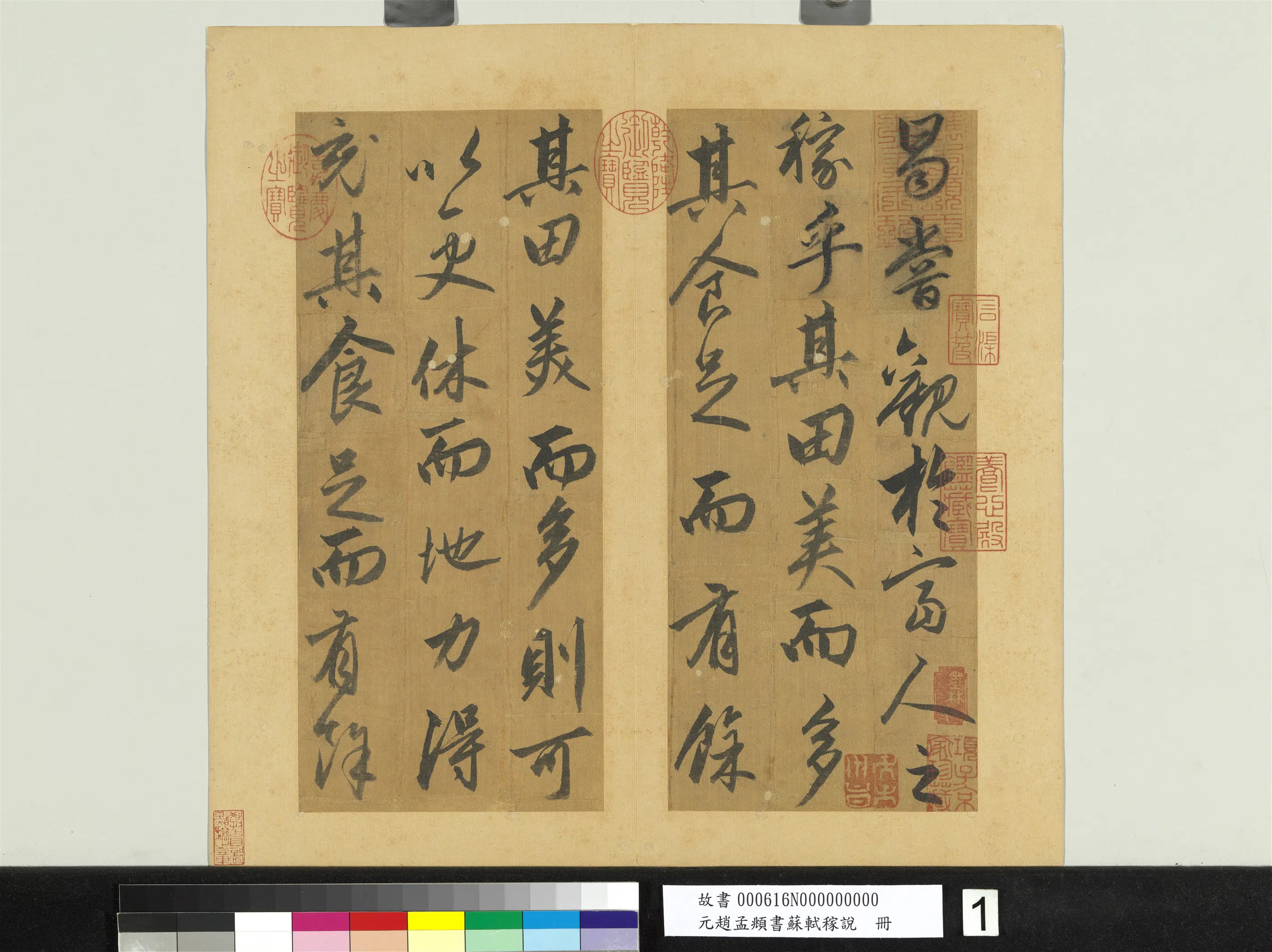 元朝【赵孟頫】《书苏轼稼说册》