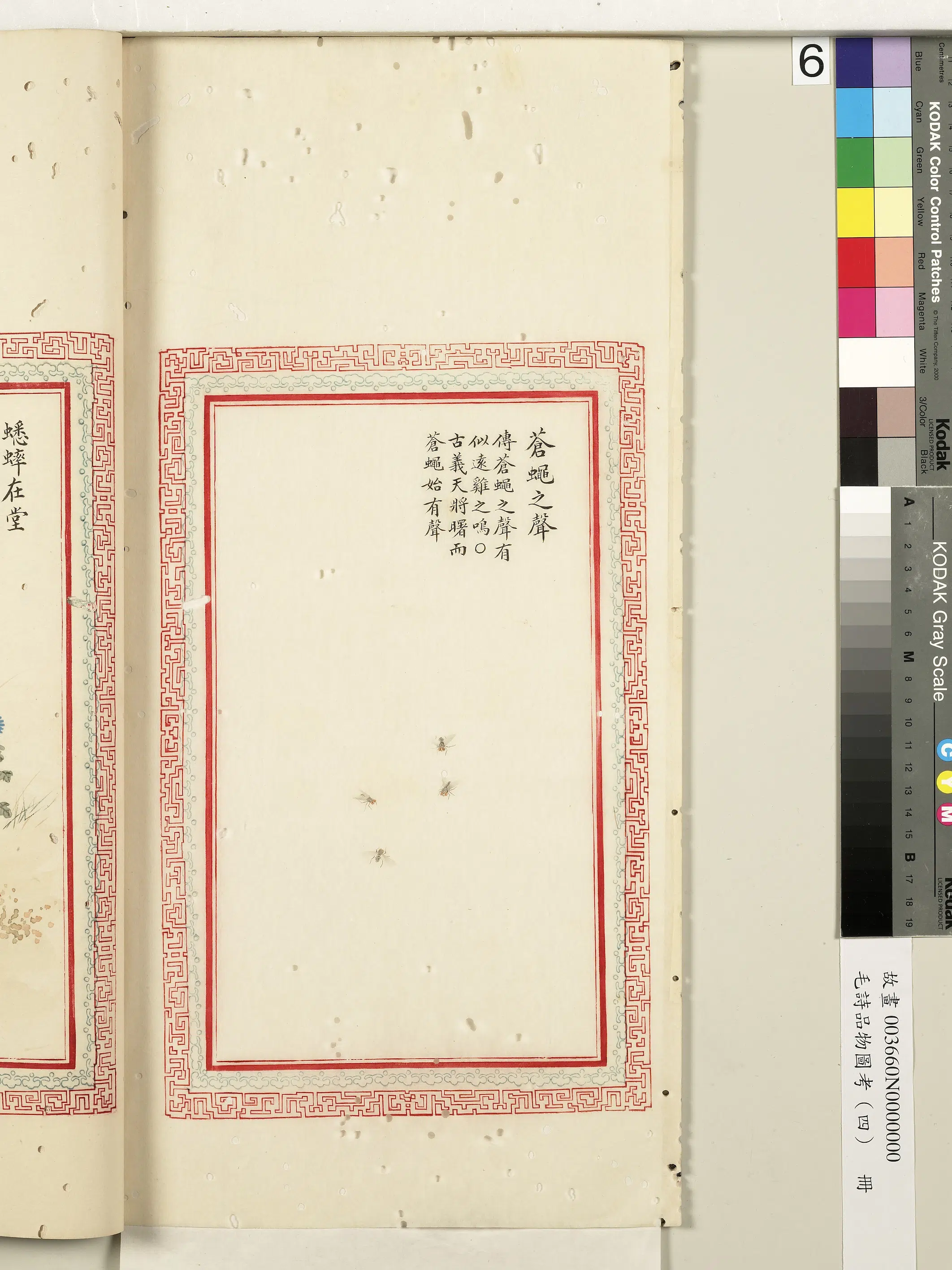 清代《毛诗品物图考(四)册-2》 第15张 清代《毛诗品物图考(四)册-2》 第15张