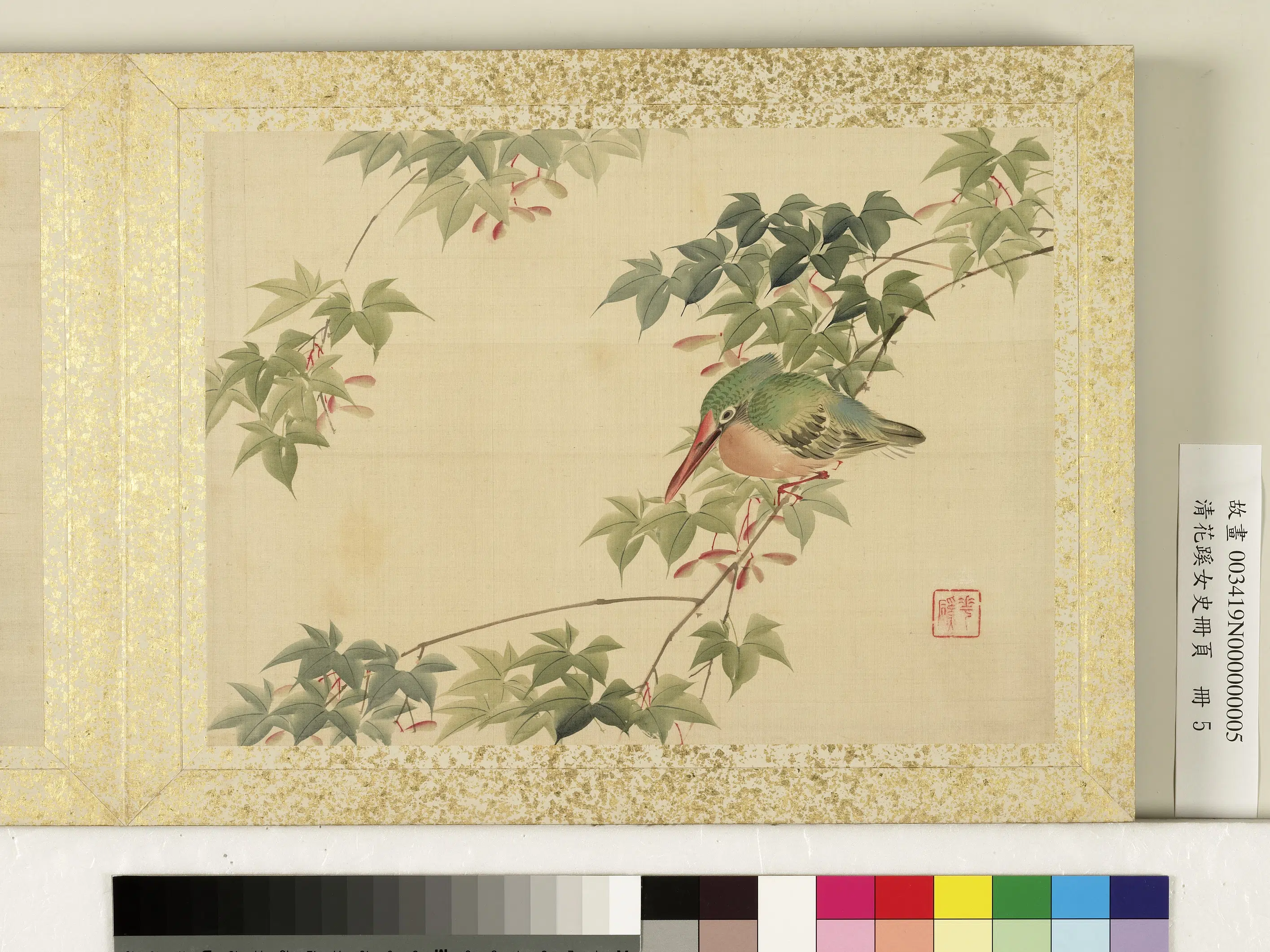 清代【迹见泷-花蹊女史】《花蹊女史册页册-鷭鸟》