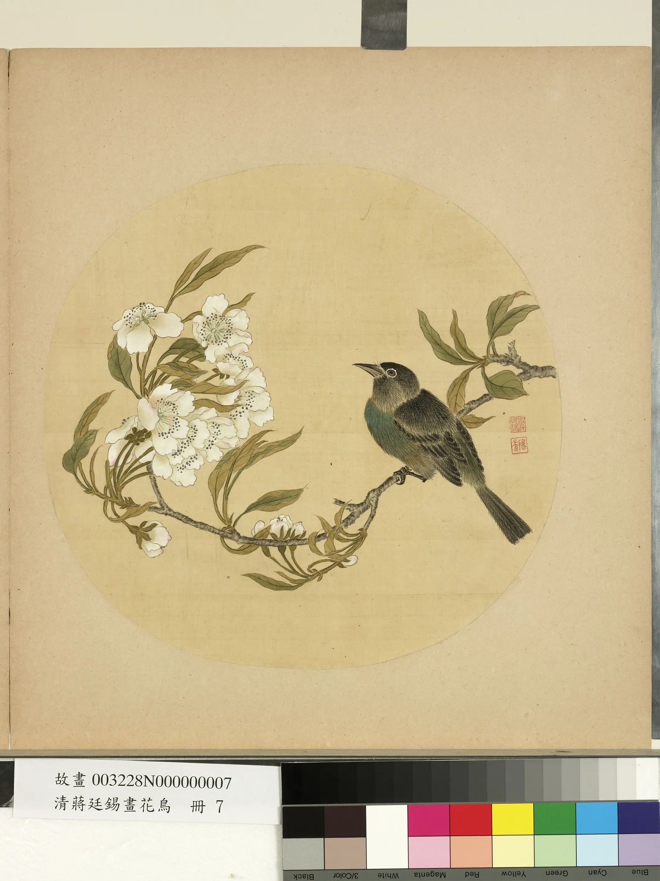 清代【蒋廷锡】《画花鸟册-梨花》
