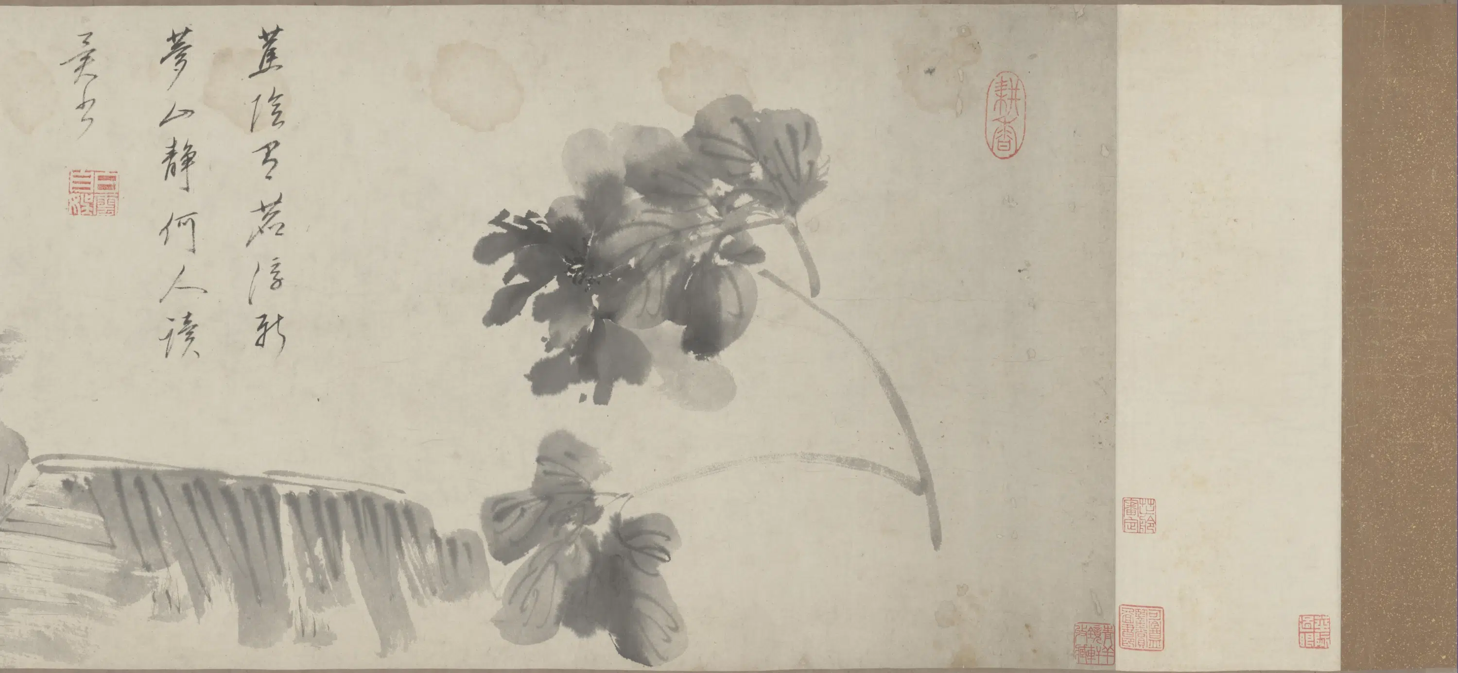 清代【朱耷】《花果图》 第6张 清代【朱耷】《花果图》 第6张