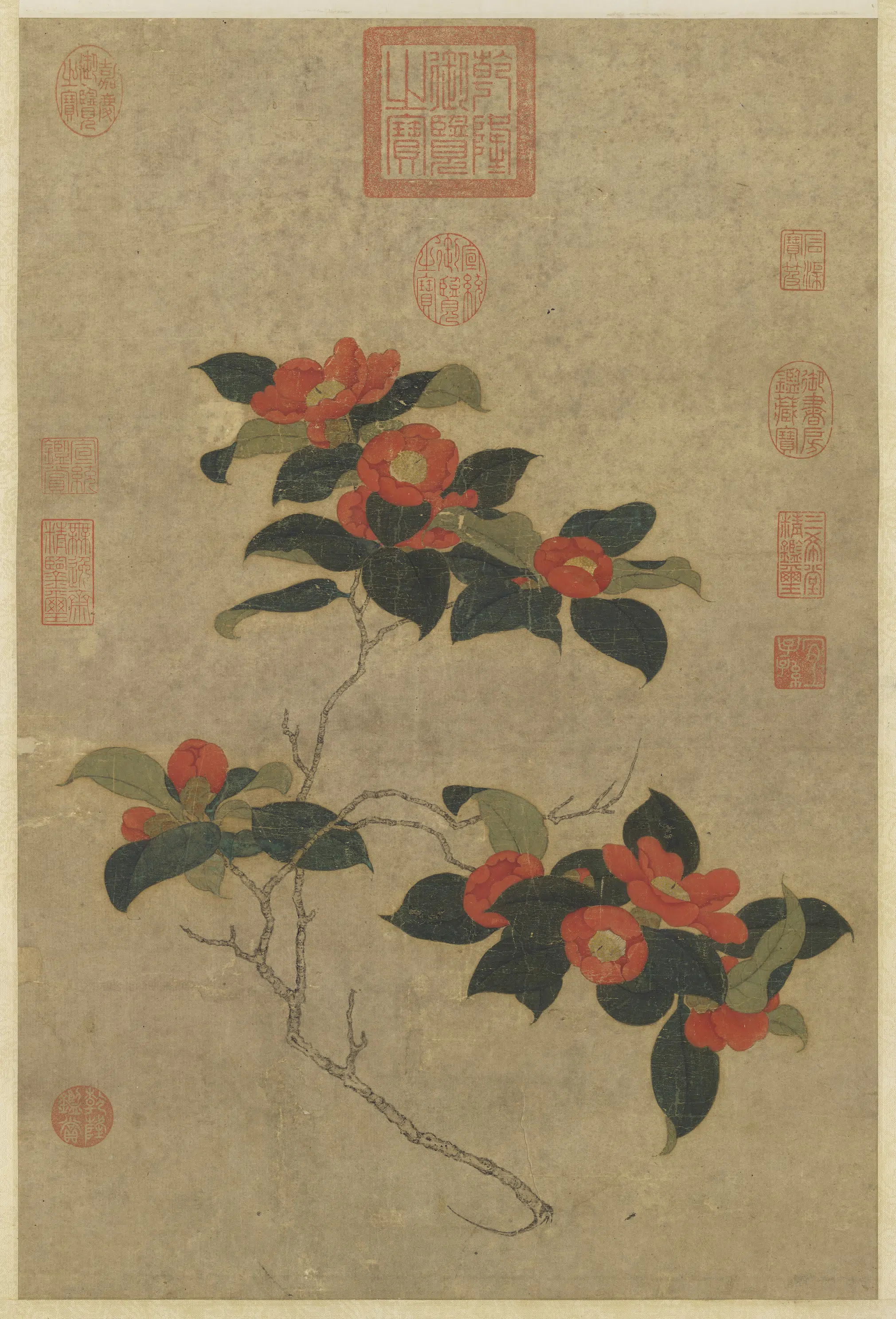 宋代《宋人山茶写生图轴》