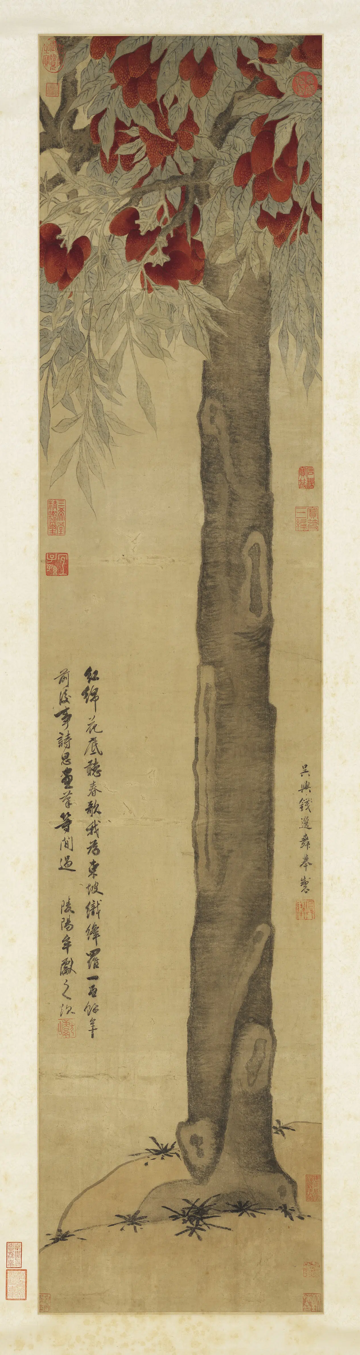 宋-元朝【钱选】《画荔枝图轴》