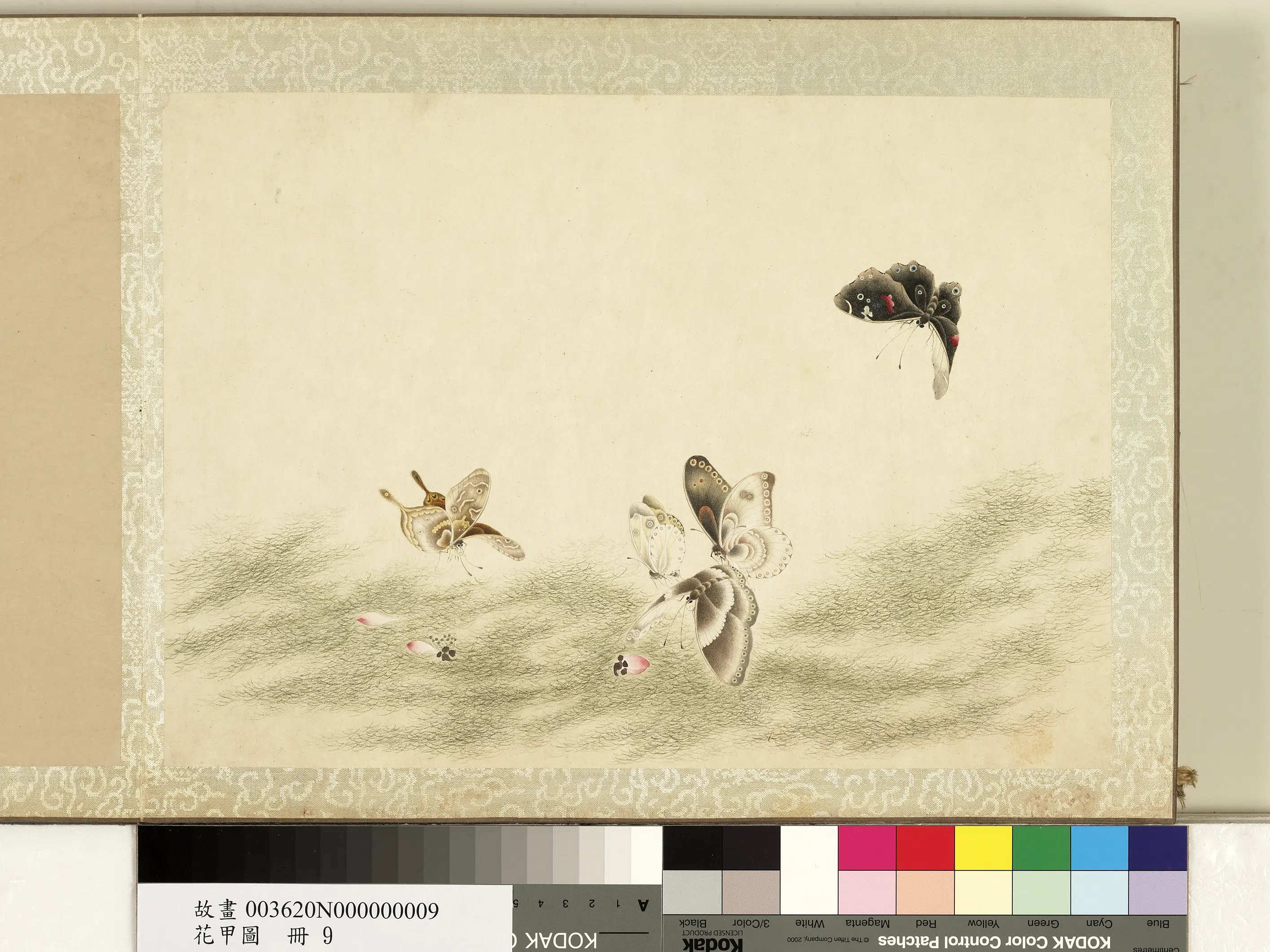 《花甲图册》 第4张 《花甲图册》 第4张